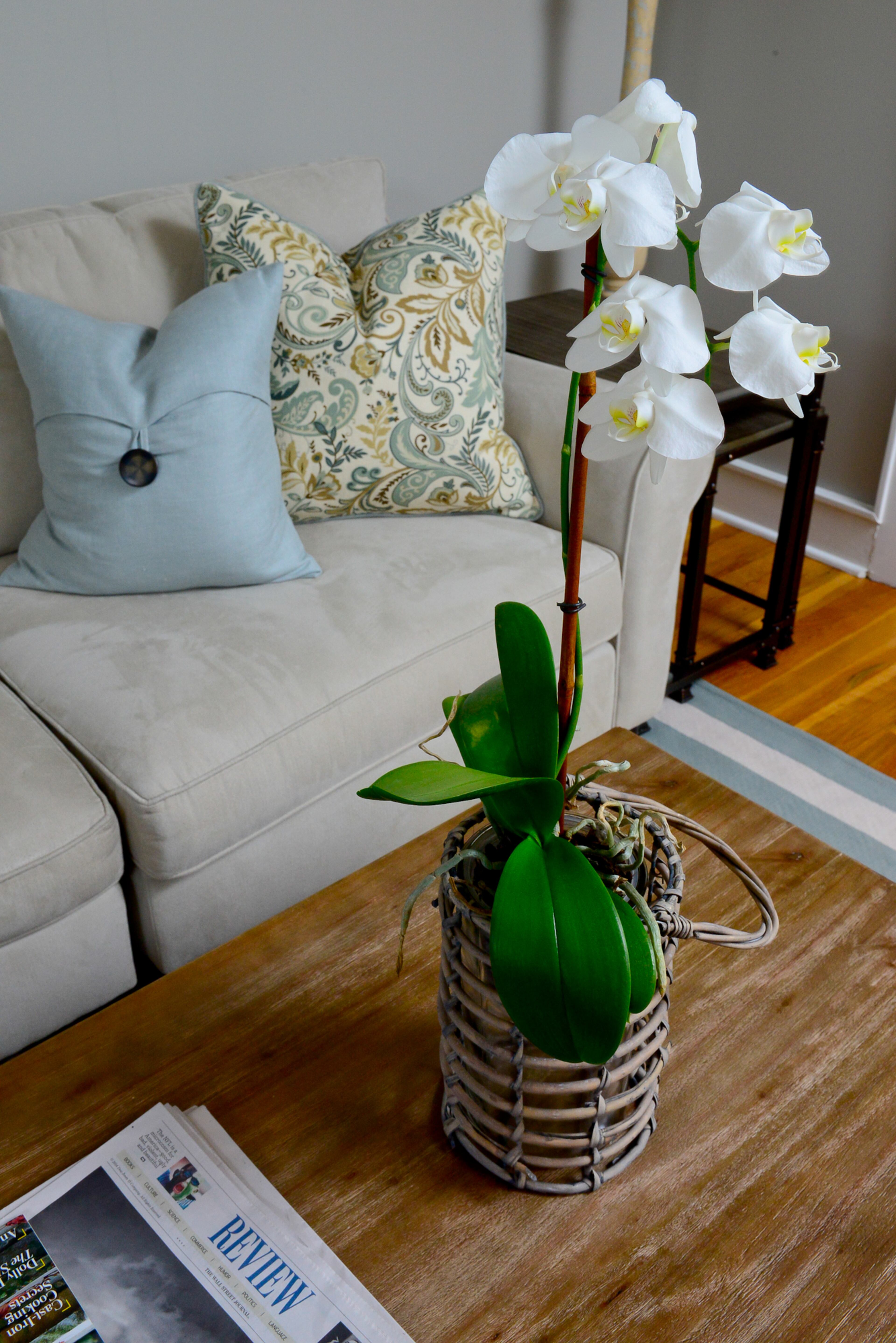 Extra touches in the home include decorating with plants and custom pillows.