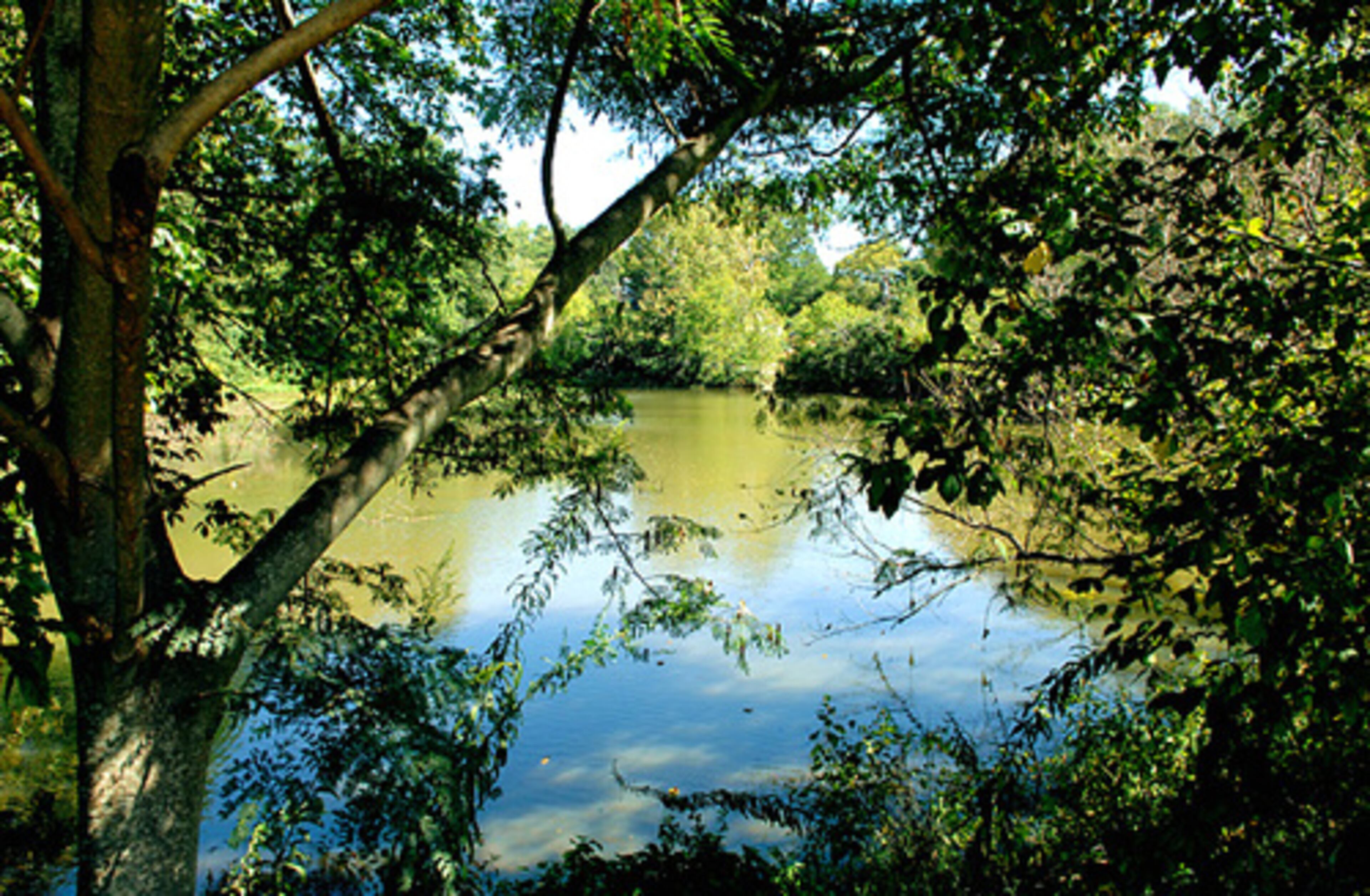 The preserve is a great place to walk and see animals.