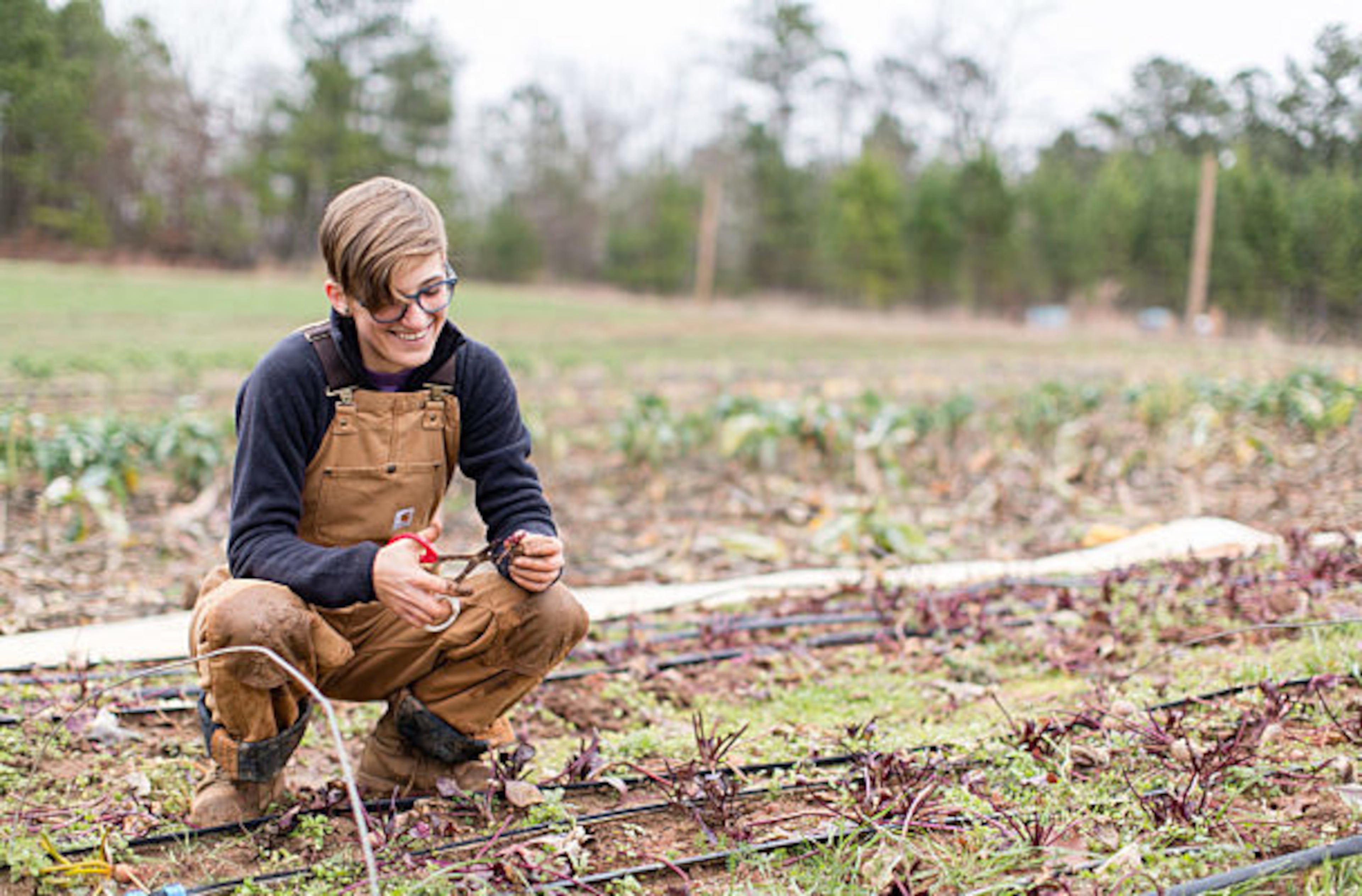 The typical CSA share helps a small local grower sustain the business until the crops are ready, at which time all the shareholders get a portion of the produce.