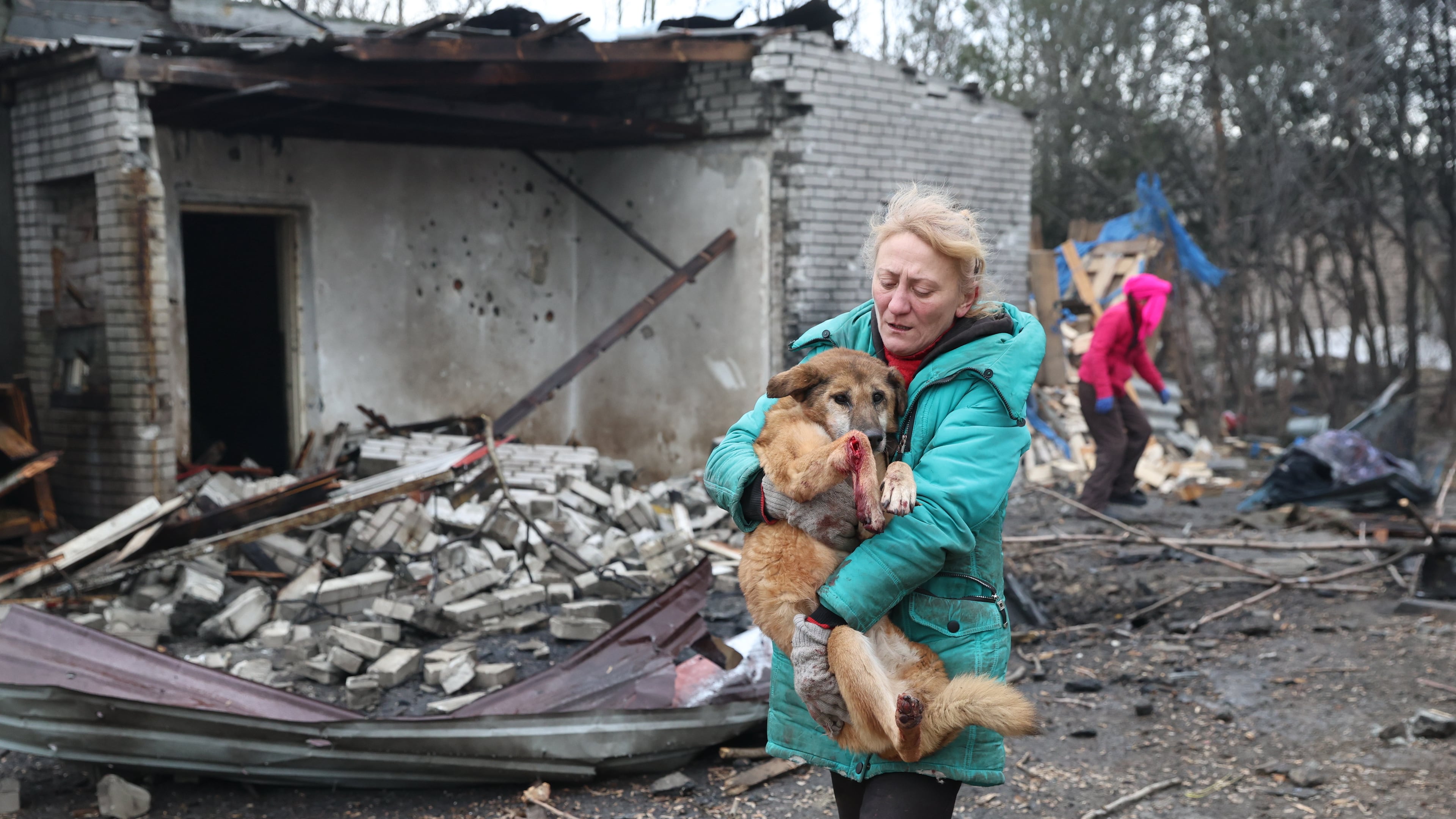 People evacuate wounded dogs after a Russian aerial strike hit a stray dog shelter in Zaporizhzhia, Ukraine, Friday, Feb. 6, 2026. (AP Photo/Kateryna Klochko)