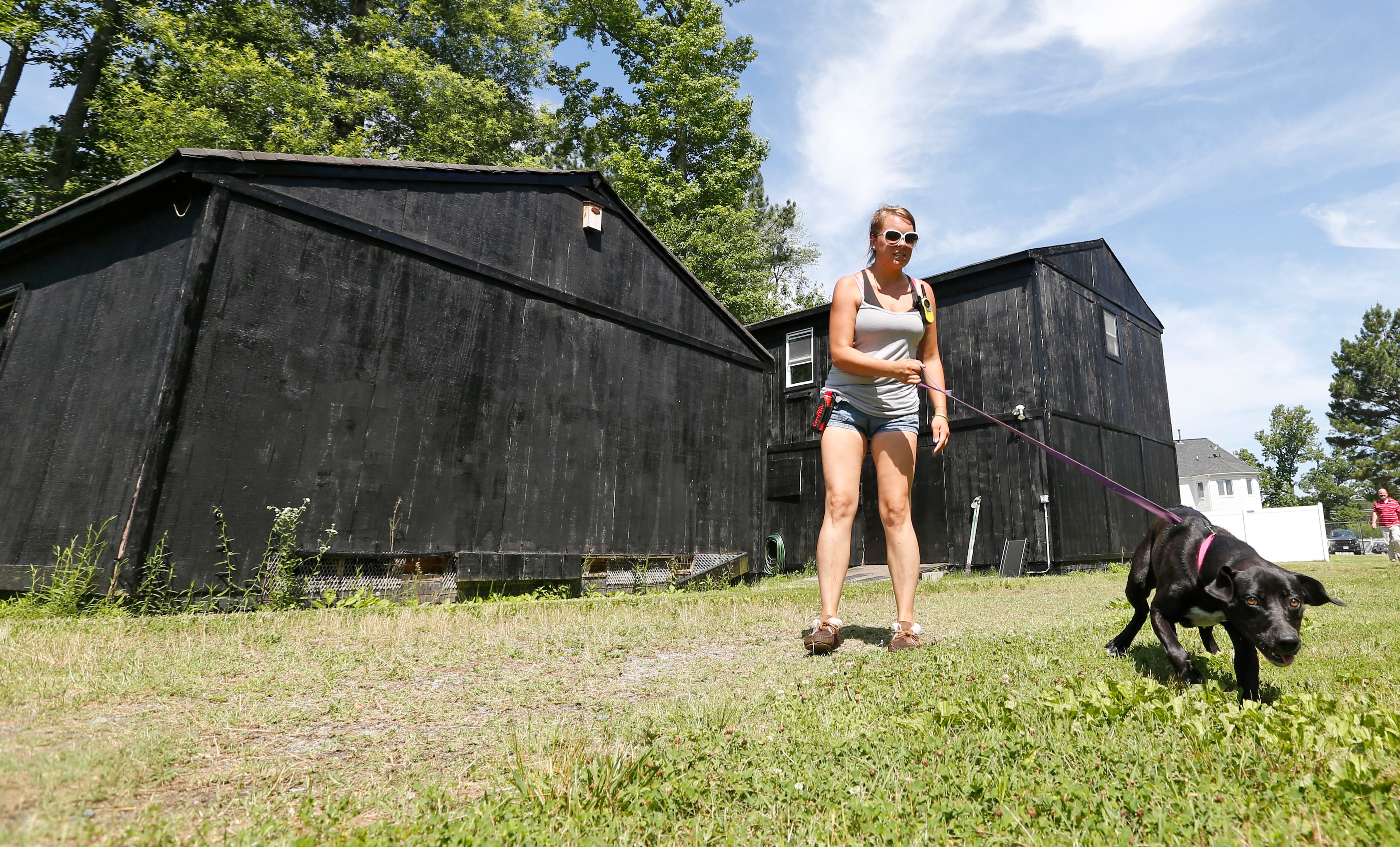 In this June 15, 2015, photo, caretaker Chrissy Appel works with a dog in the back of the Good News Rehab Center, the former home of NFL football quarterback Michael Vick's Bad Newz Kennel in Smithfield, Va. The former Atlanta Falcons star quarterback served an 18-month federal prison sentence for running a dogfighting ring. (AP Photo/Steve Helber)