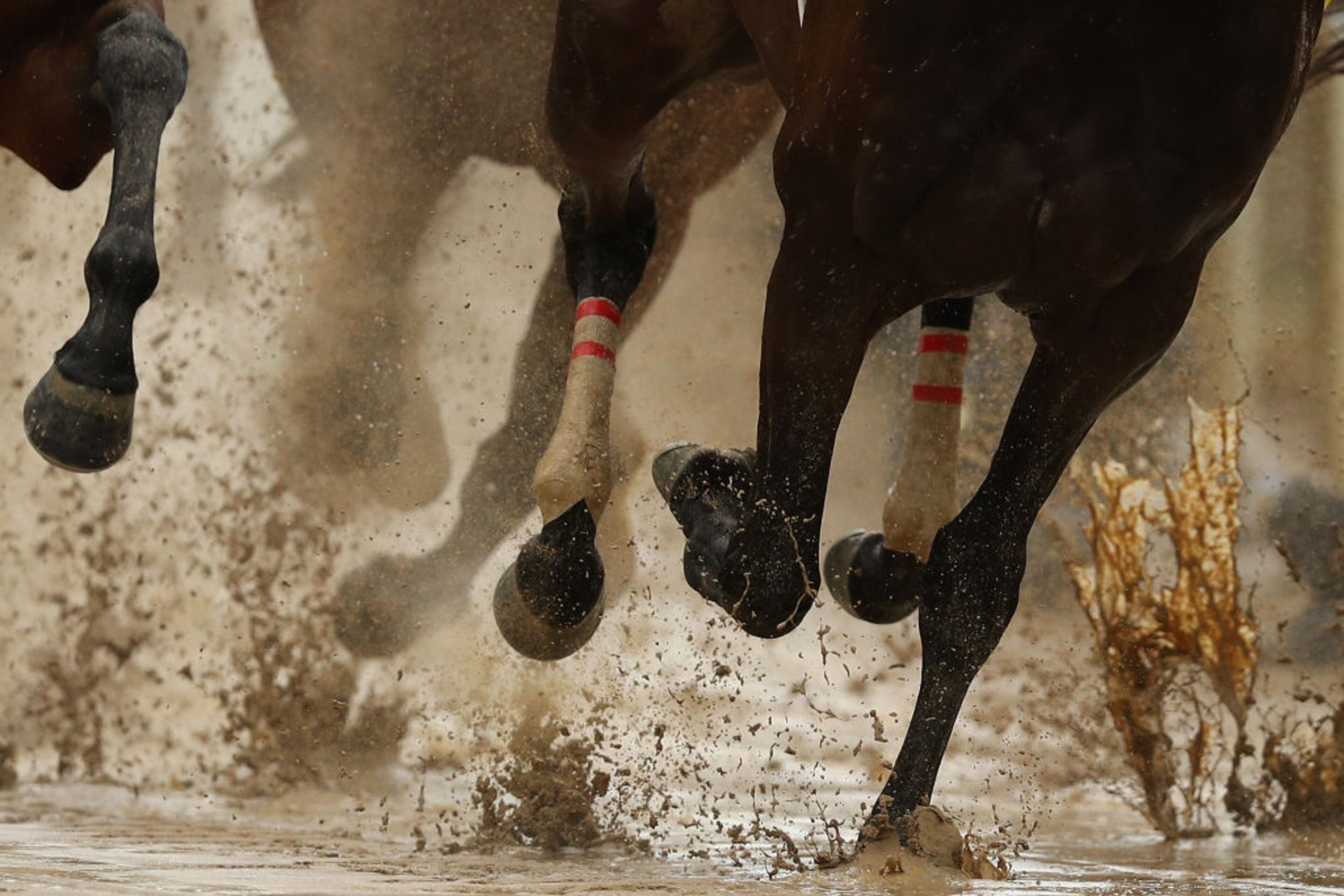 LOUISVILLE, KY - MAY 06: Horses race on a sloppy track prior to the 143rd running of the Kentucky Derby at Churchill Downs on May 6, 2017 in Louisville, Kentucky. (Photo by Patrick Smith/Getty Images)