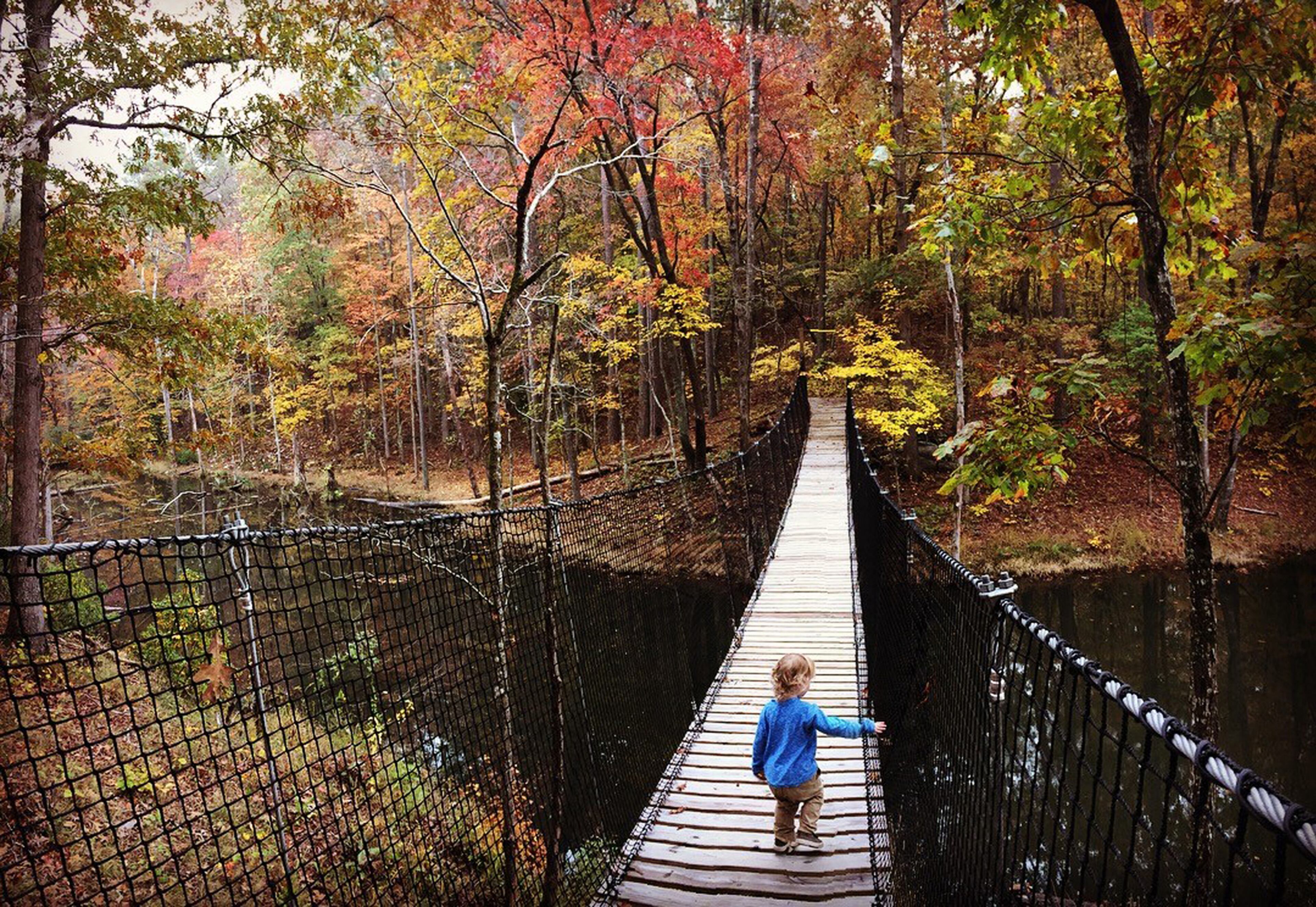 The Historic Banning Mills Retreat and Conservation Center offers lush fall leaves plus a bevy of adventurous activities. (Courtesy of Historic Banning Mills)