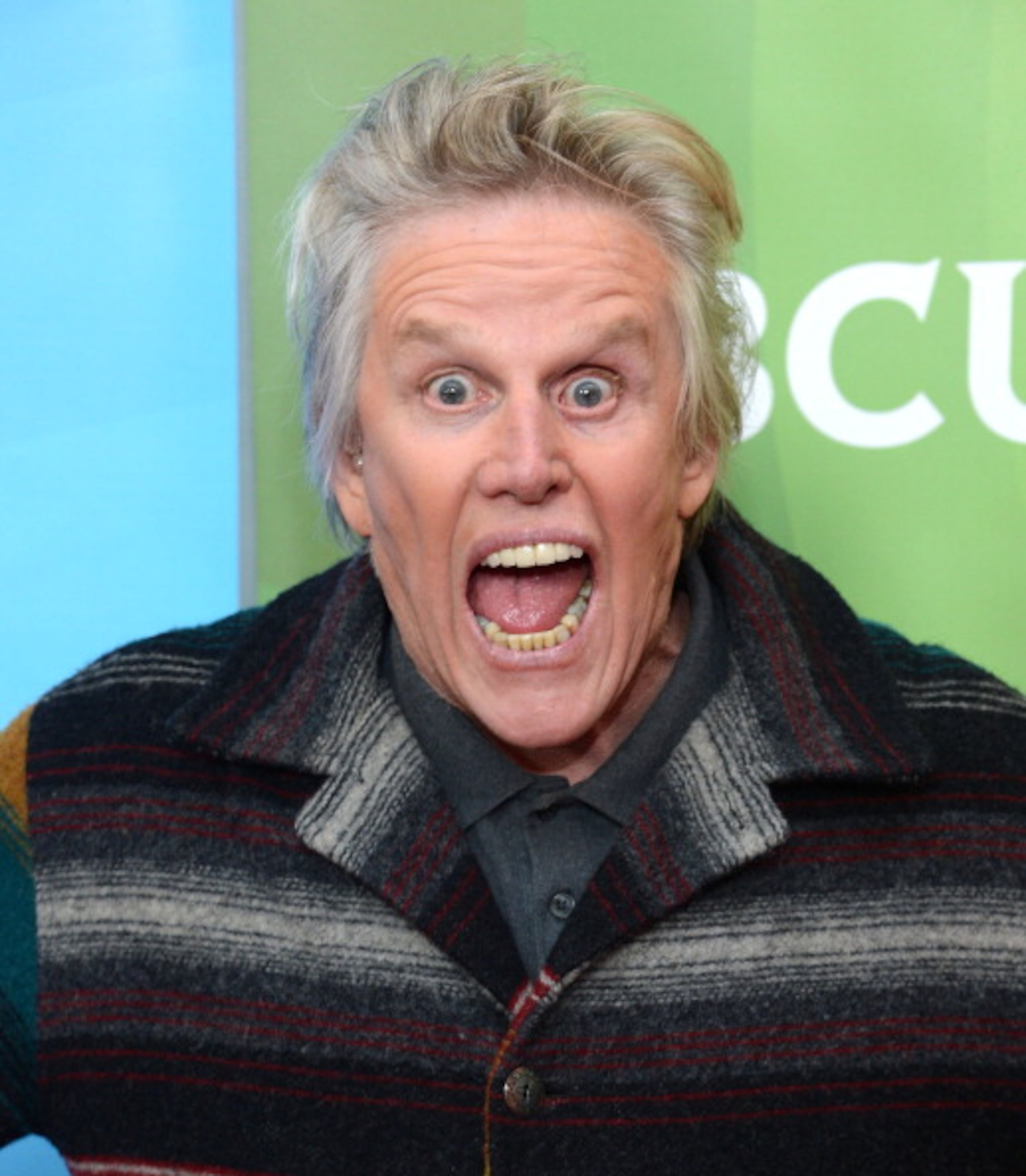 PASADENA, CA - JANUARY 06: Gary Busey attends NBCUniversal's "2013 Winter TCA Tour" Day 1 at Langham Hotel on January 6, 2013 in Pasadena, California. (Photo by Jason Kempin/Getty Images)