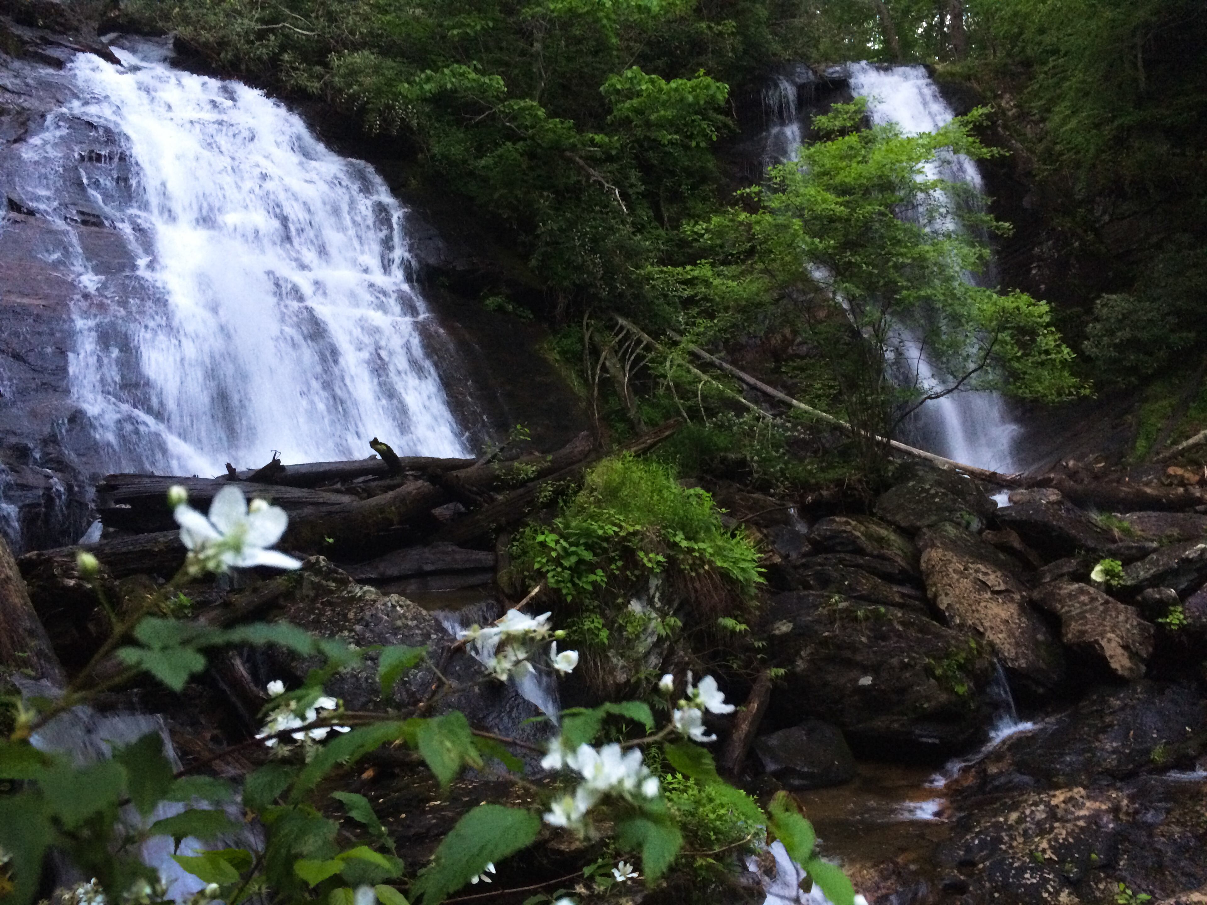 The two waterfalls at Anna Ruby Falls meet and plunge more than 150 feet.
Courtesy of the Forest Service Chattahoochee-Oconee National Forests.