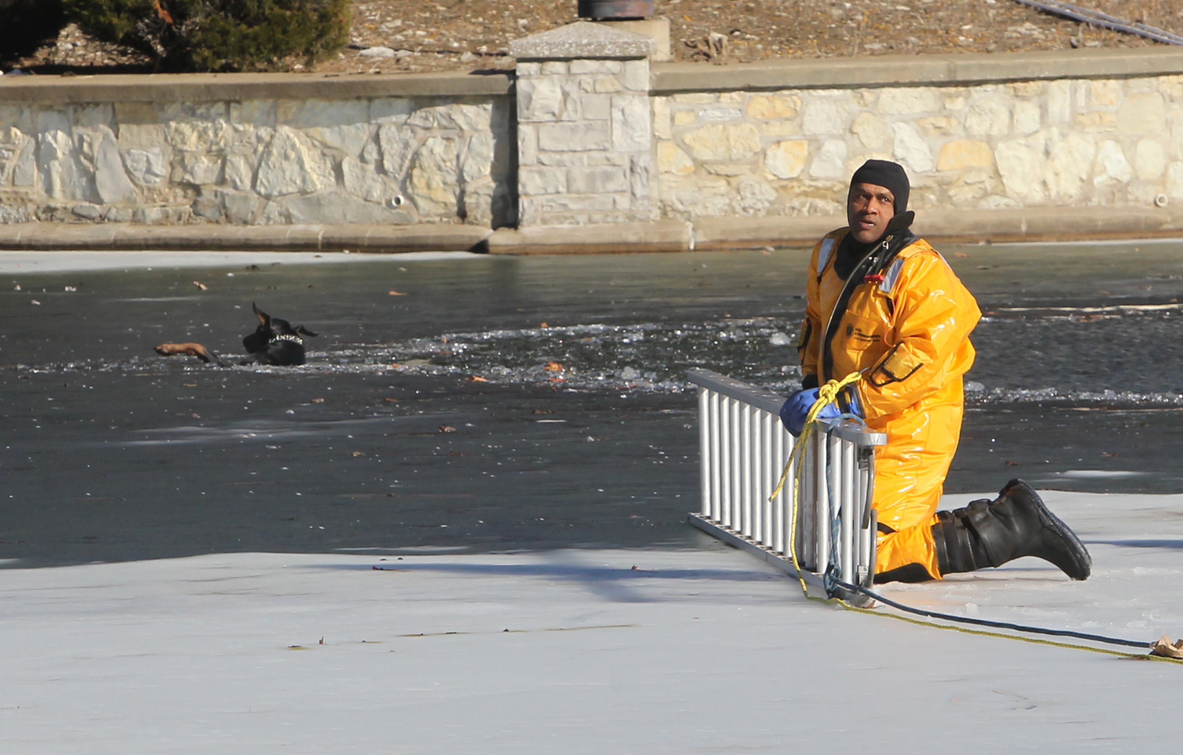 St. Louis firefighter Demetris Alfred, from Rescue Squad 1C, waits for more rope before venturing into the water to rescue Diablo, a Doberman Pinscher, in the lake in O'Fallon Park in St. Louis.