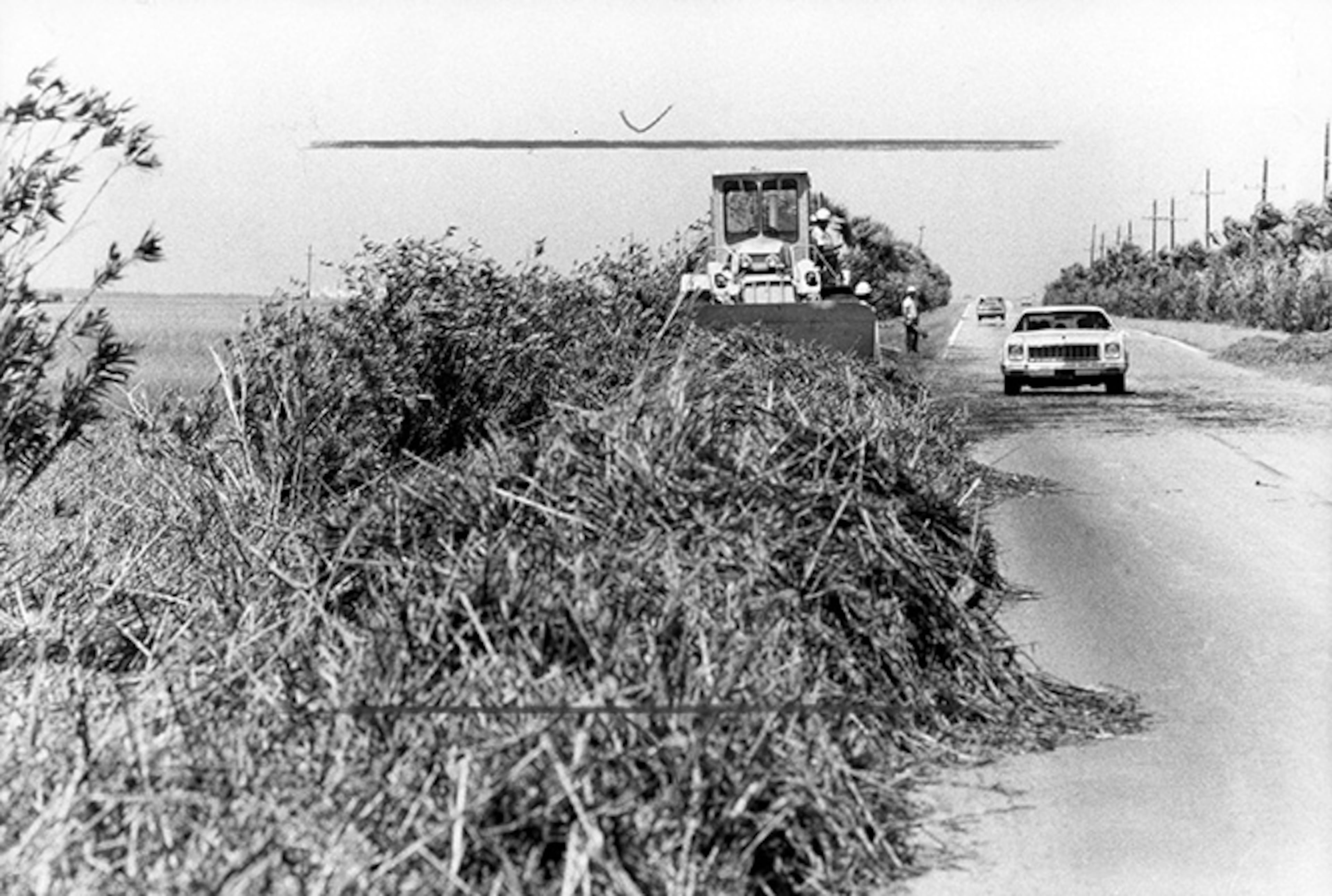 Workers clear the roads of debris after Hurricane David hits the coastline, 1979.
