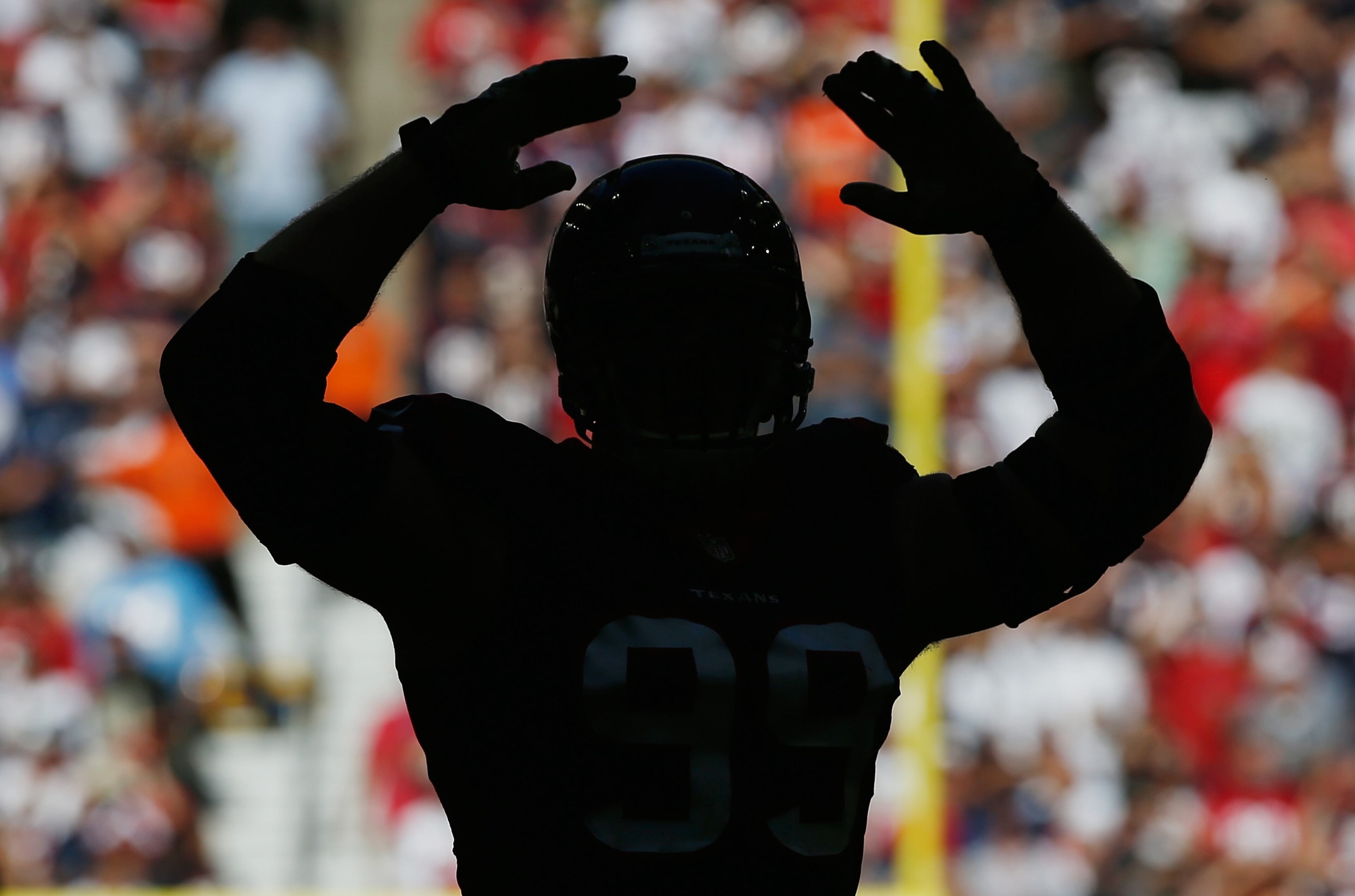 J.J. Watt of the Houston Texans rallies the fans during a 2014 game in Houston. (Photo by Scott Halleran/Getty Images)