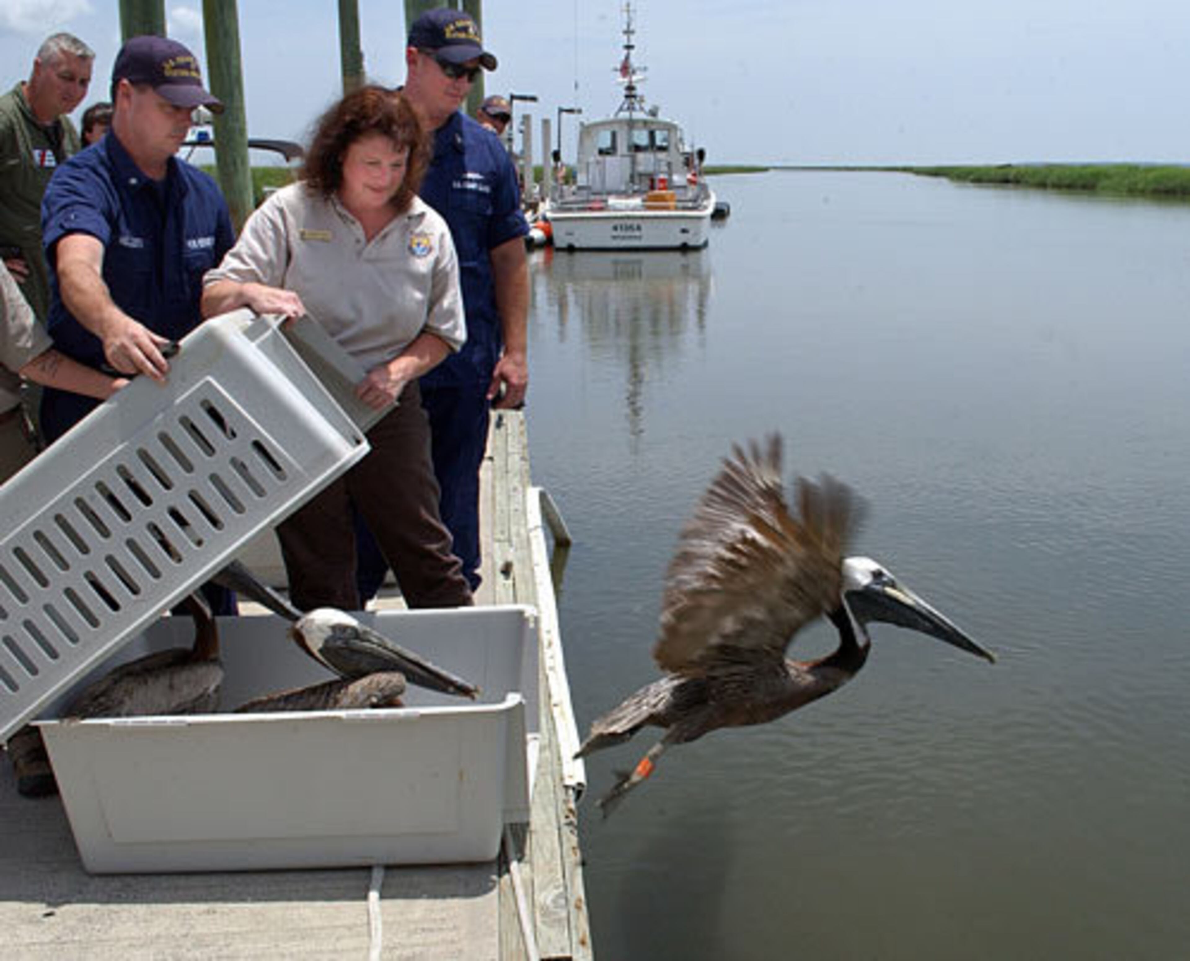 U.S. Fish and Wildlife Service veterinarian Sharon Taylor (right) and U.S. Coast Guard personnel watch as the rescued birds check out their new home.