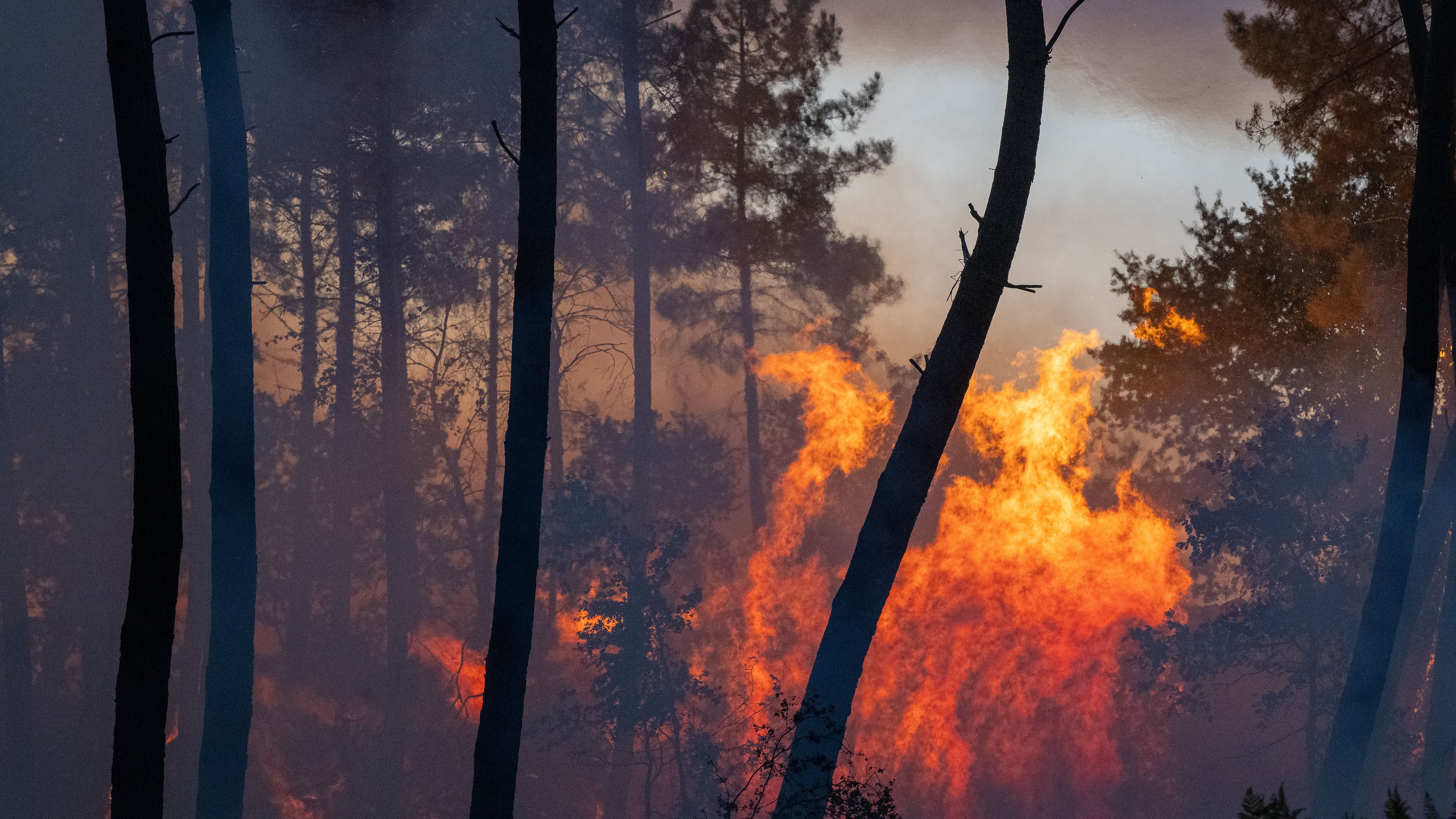 Wildfires advance near Le Proge region, western France, Thursday, July 23, 2026. (AP Photo/Caroline Blumberg)