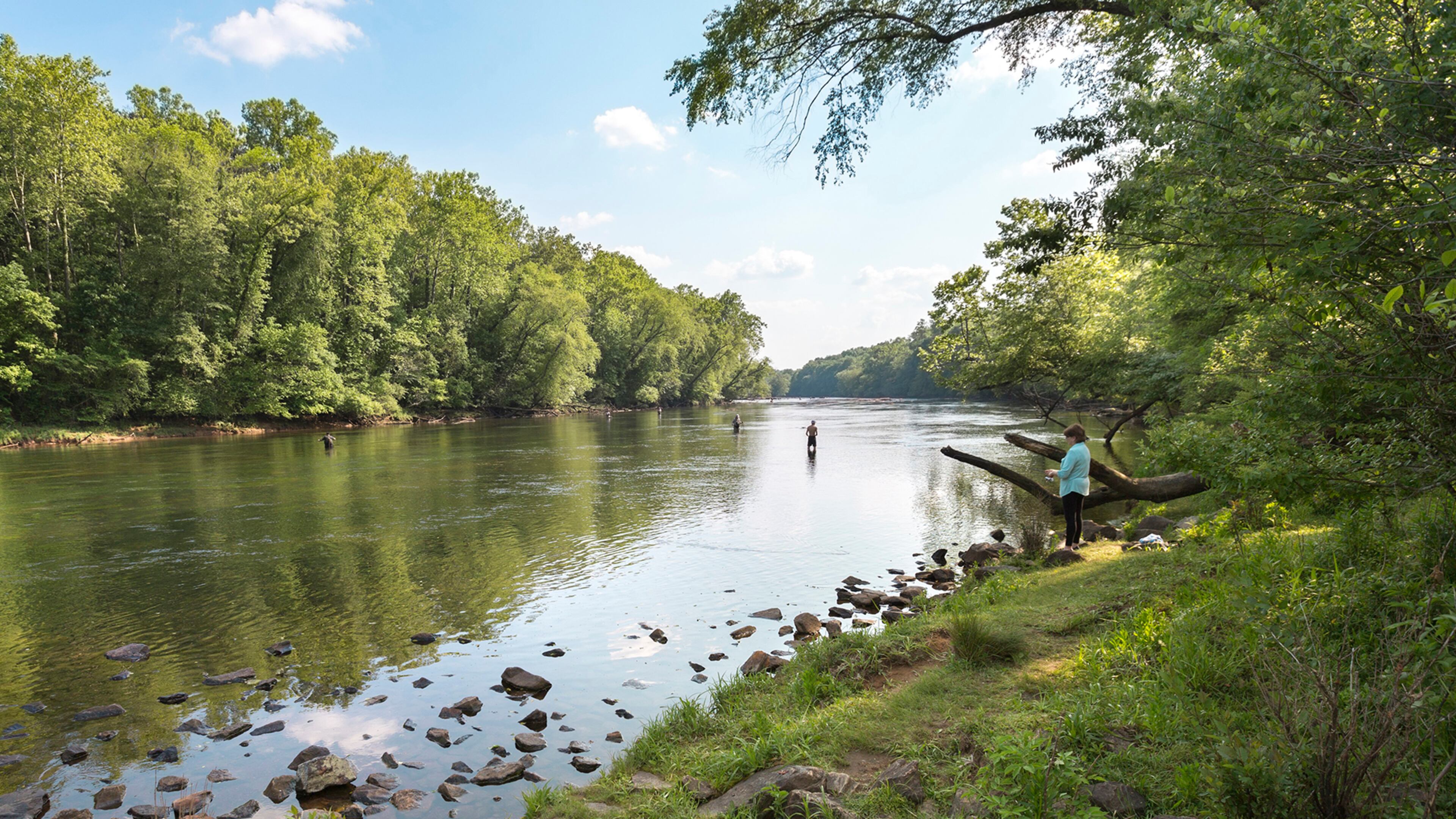The Chattahoochee river begins at Buford Dam and Lower Overlook is the first park after the Lake Lanier dam that provides recreation, trout fishing, picnicking, hiking and swimming beaches. This location is busy with visitors and wildlife.