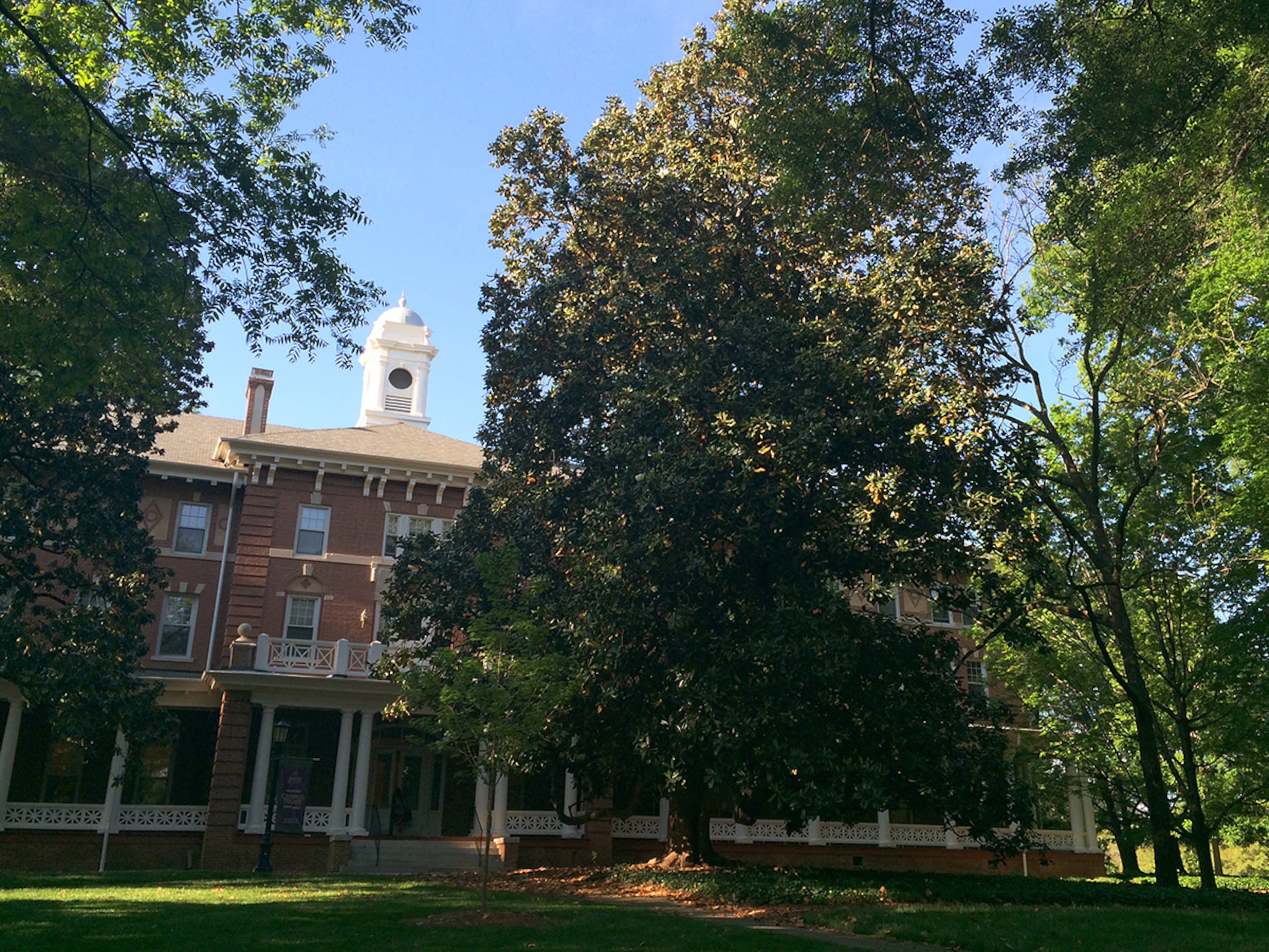 The 'Professor Dieckmann Magnolias' on the Agnes Scott campus