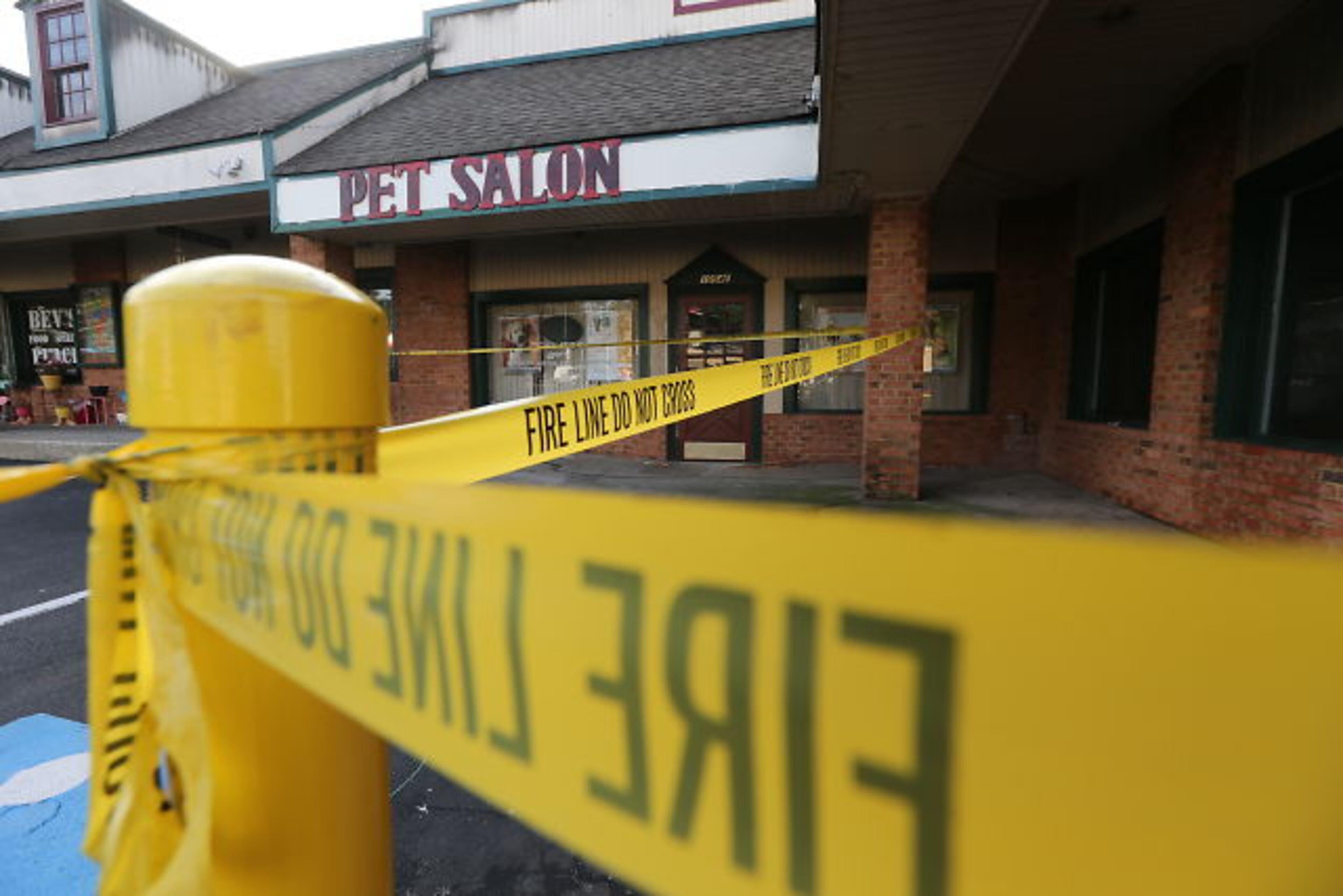 Seventeen dogs at a pet spa survived a DeKalb strip mall fire, but a Cocker Spaniel and a Shih Tzu died from smoke inhalation. JOHN SPINK / JSPINK@AJC.COM