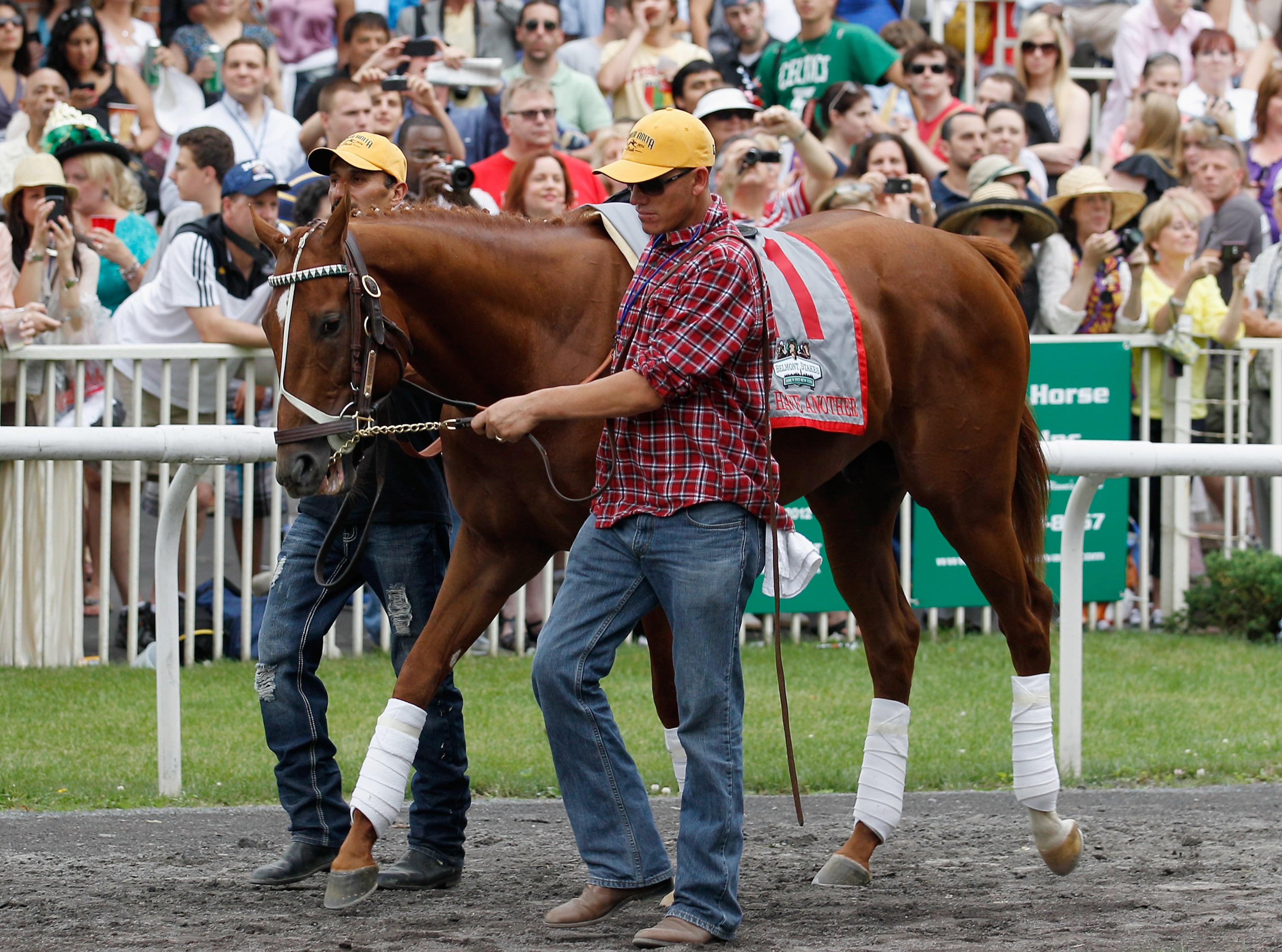 ELMONT, NY - JUNE 09: Groom Benjamin Perez leads Kentucky Derby and Preakness winner I'll Have Another in the paddock before a retirement ceremony before the start of the 144th Belmont Stakes at Belmont Park on June 9, 2012 in Elmont, New York. The triple crown hopeful is being retired due to an injury. (Photo by Rob Carr/Getty Images)