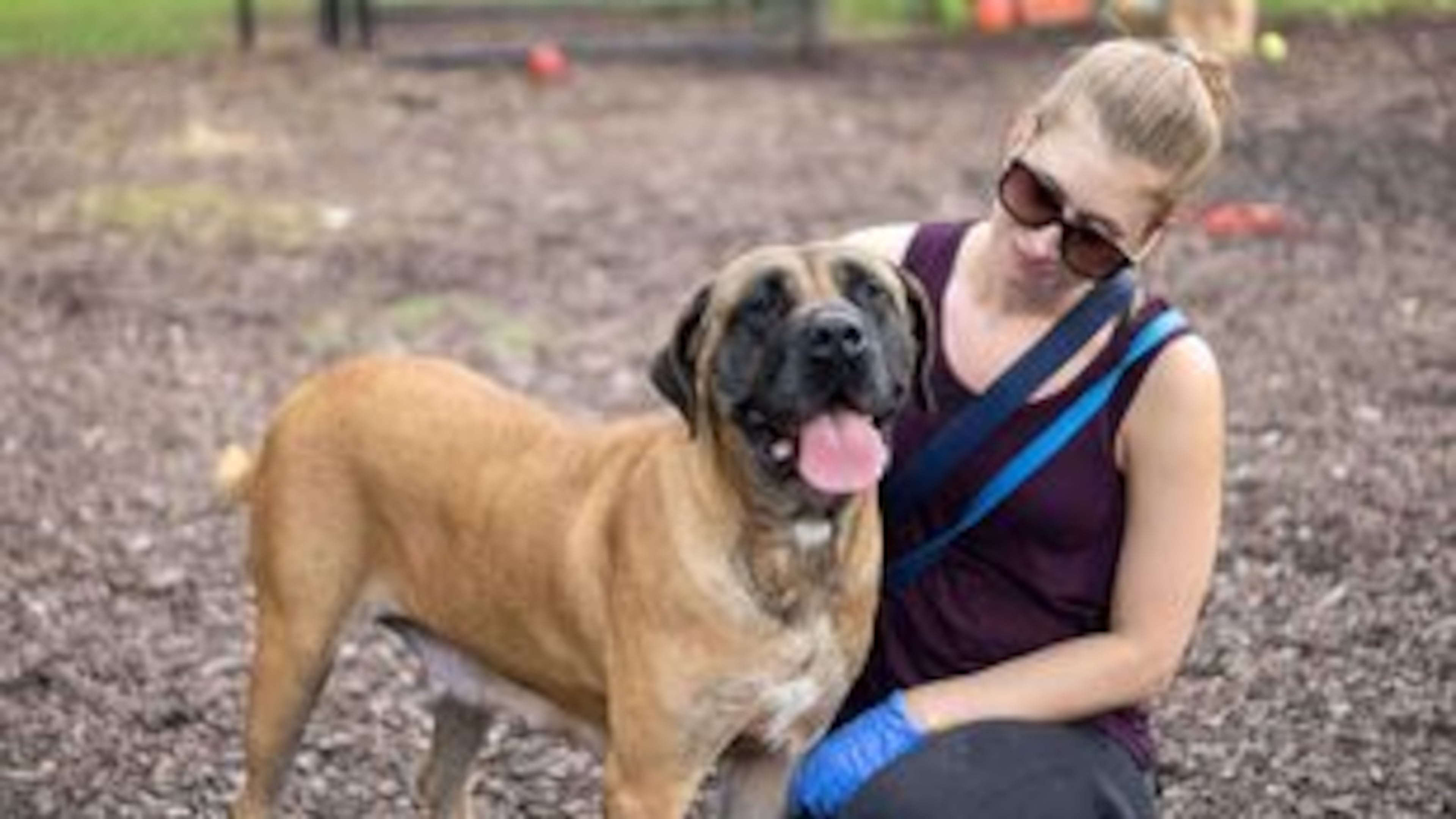 A DeKalb County volunteer appears with Janet about a year ago when Janet was at the shelter.