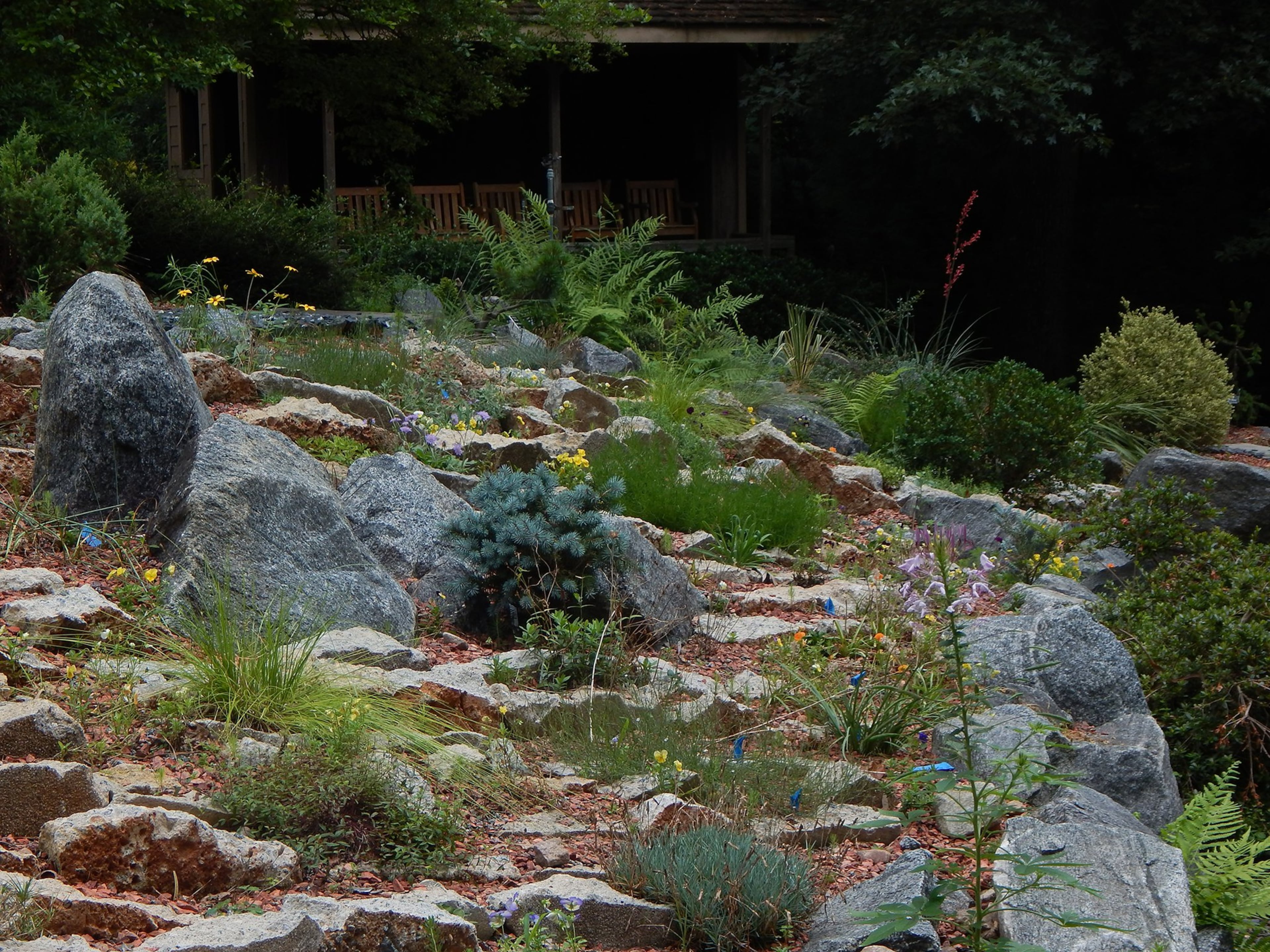 The crevice garden at Smith-Gilbert Gardens features small plants that grow among precisely placed vertical stone slabs in an effort to imitate the rugged beauty of cliffs and outcrops within stratified-rock faces. Contributed by Smith-Gilbert Gardens