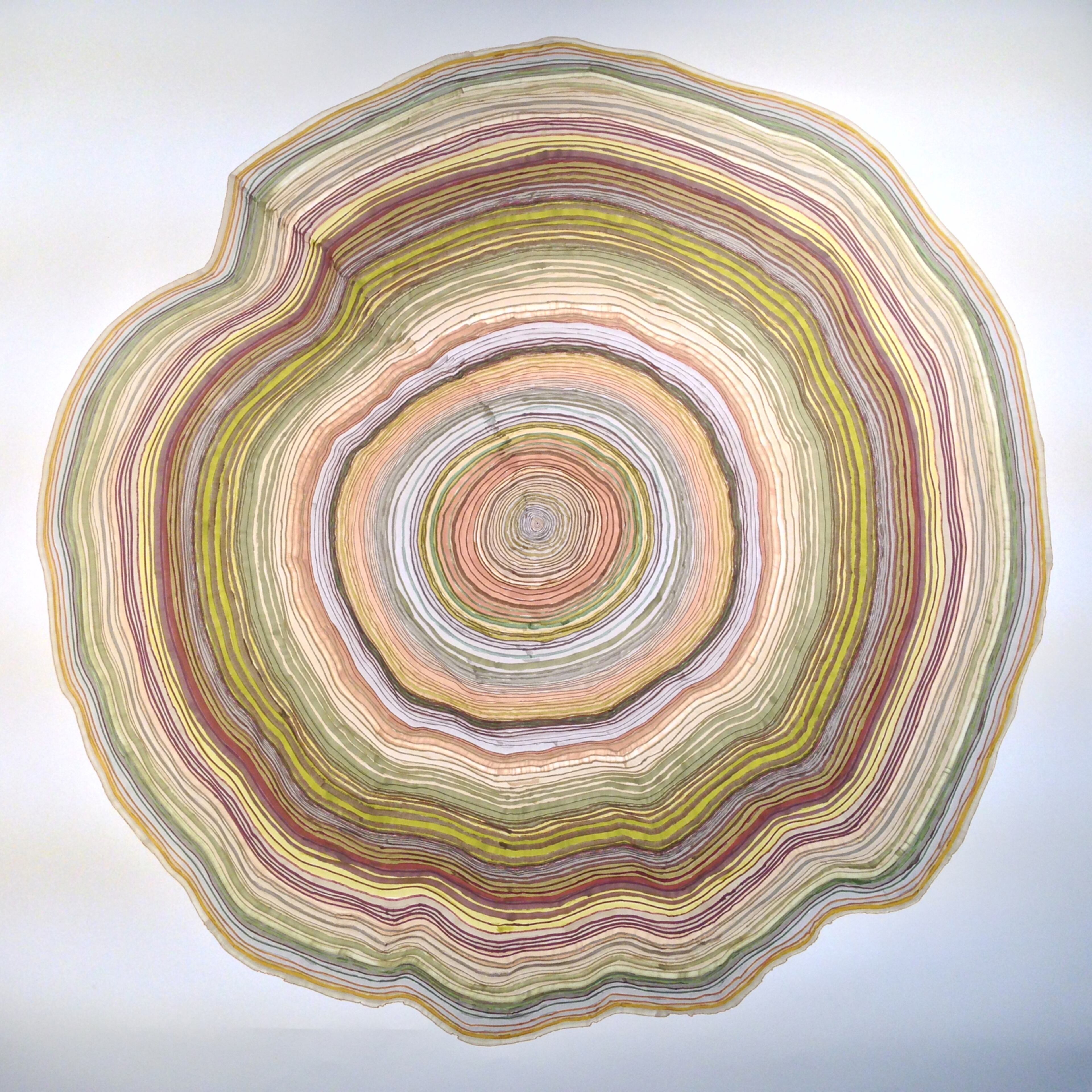 Steven Anderson's drawing "229 years" in marker and pencil on paper, appears in "Leaves of Grass" this fall at Poem 88.