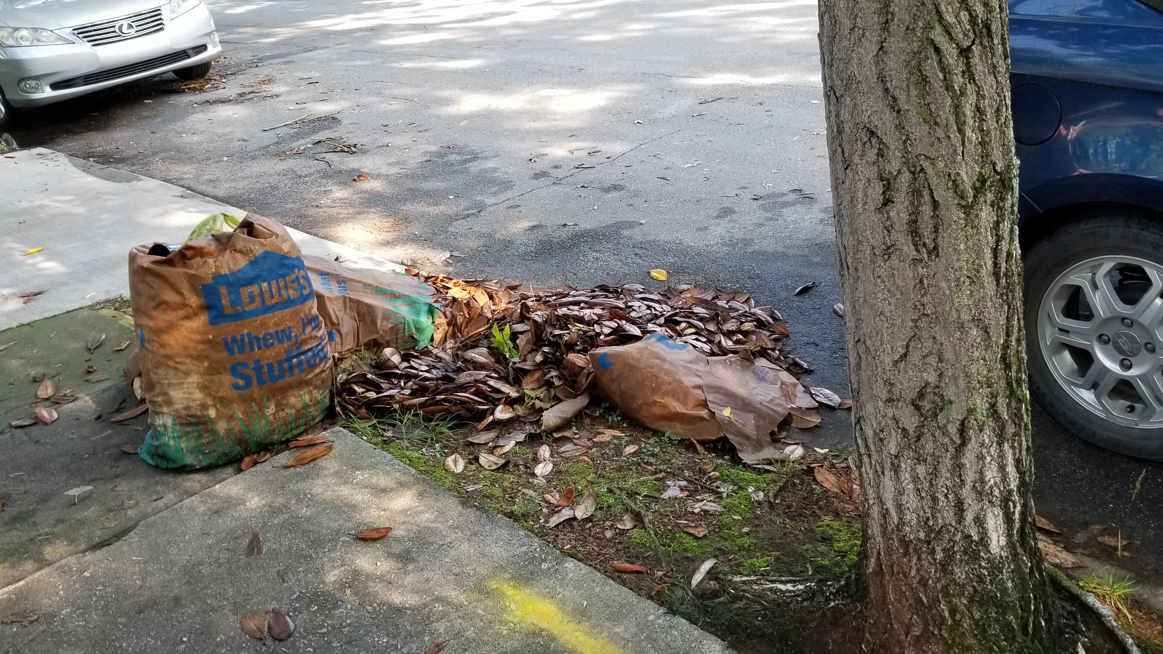 Refuse pick-up is still a problem in the city.
