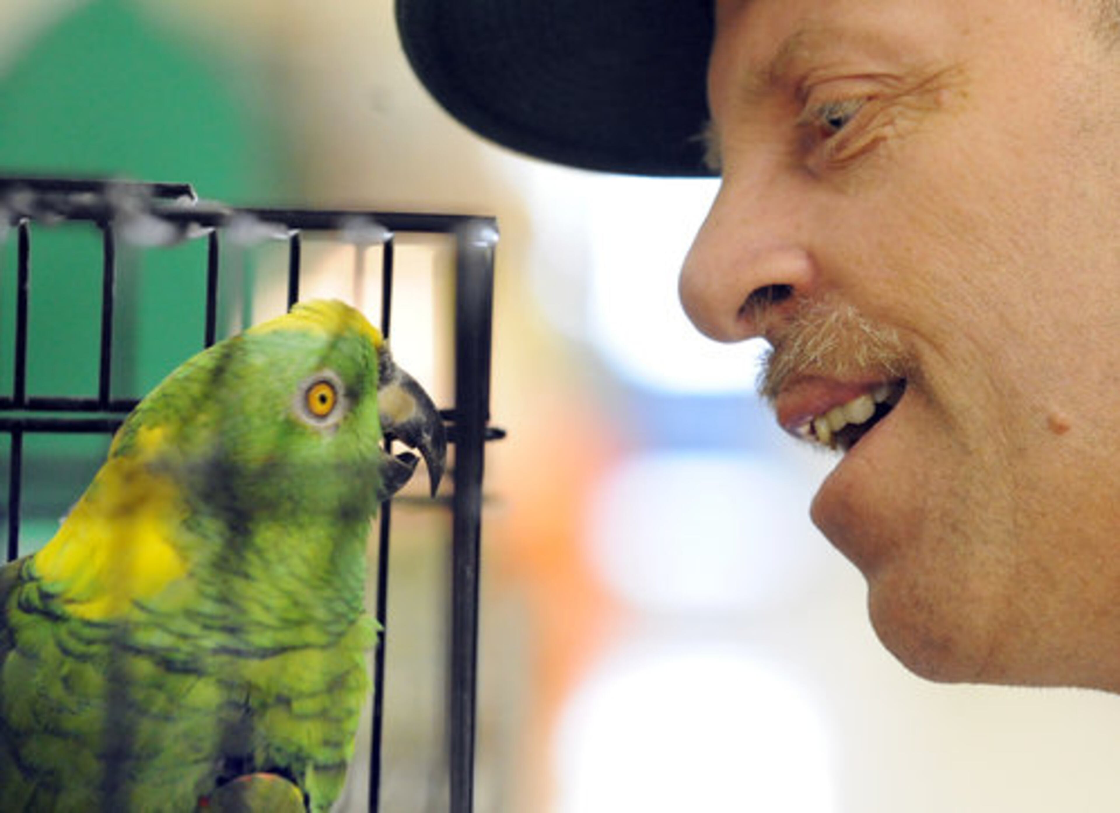 Bill Tankesley, of Atlanta, speaks with a yellow-naped Amazon parrot.