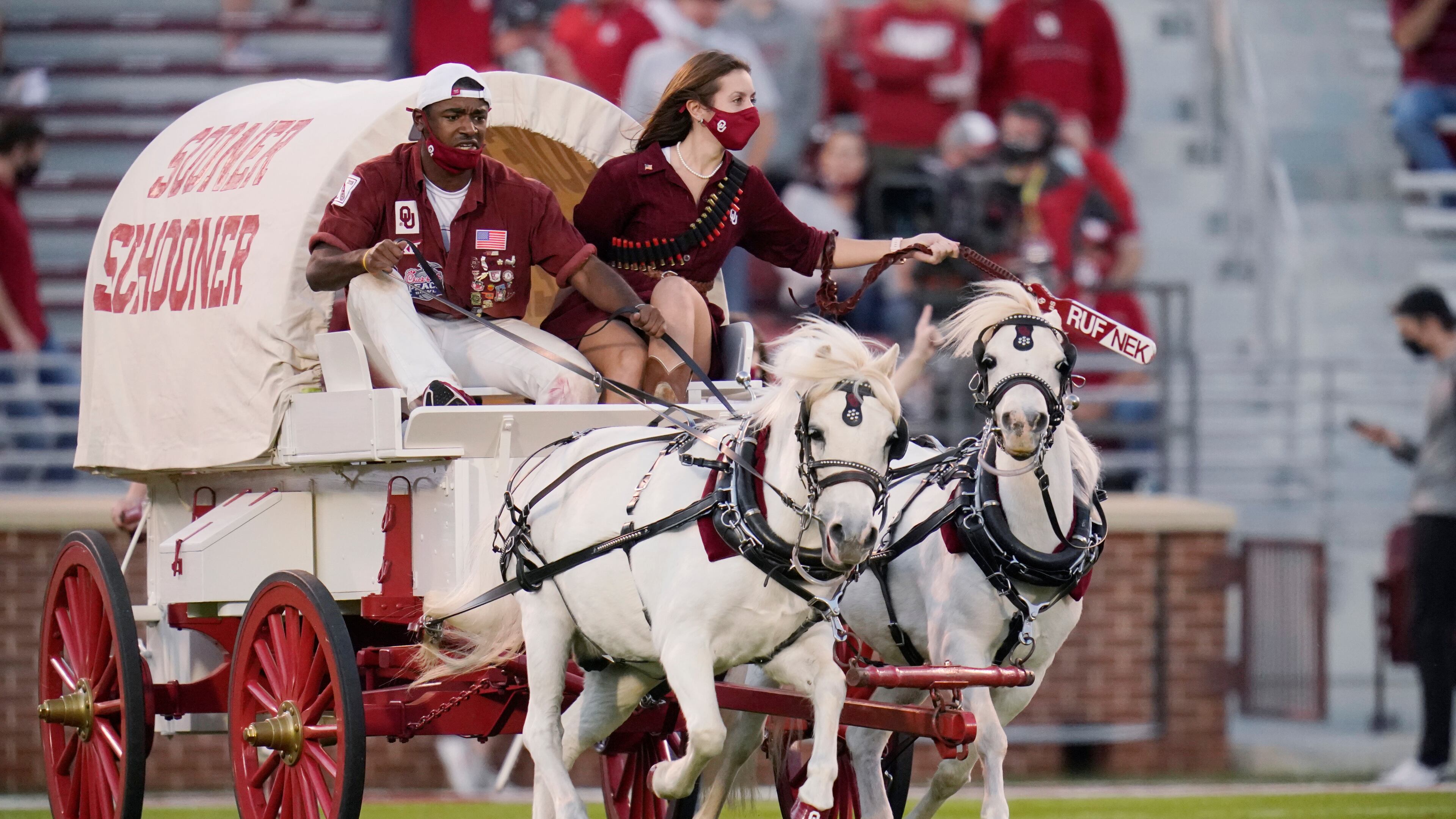 The Sooner Schooner is driven onto the field following a touchdown during an NCAA college football game against Kansas in Norman, Okla., Saturday, Nov. 7, 2020. (AP Photo/Sue Ogrocki)
