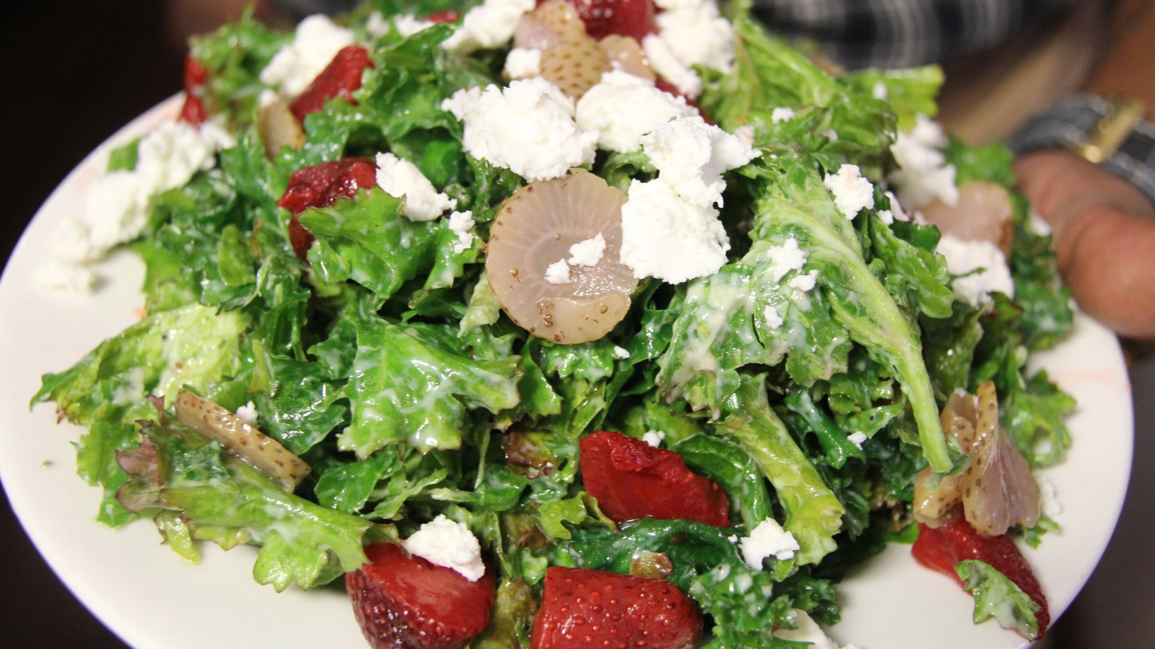 CONTRIBUTED BY REVIVAL