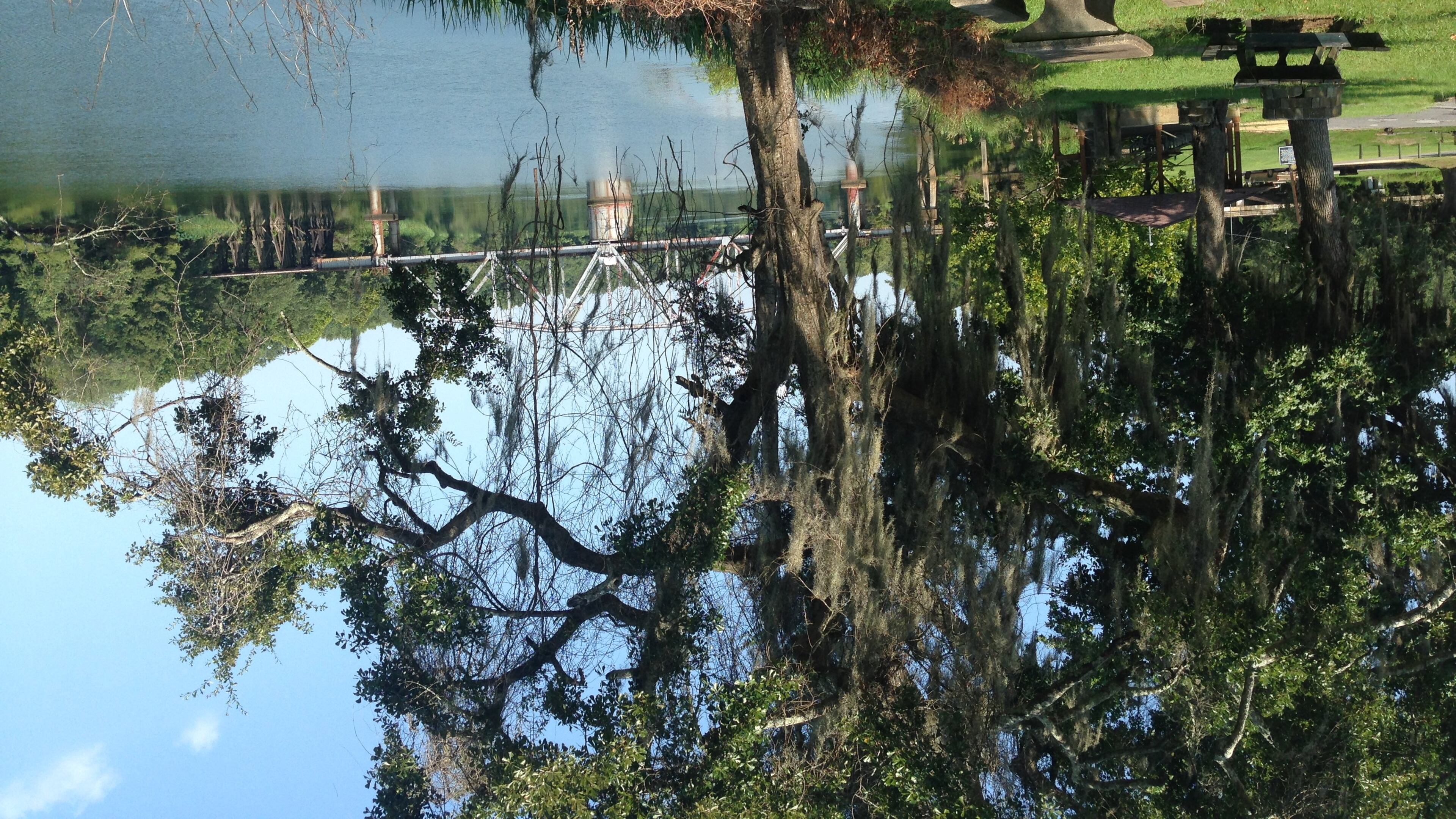 A Bainbridge park along the Flint River. Photo: Dan Chapman