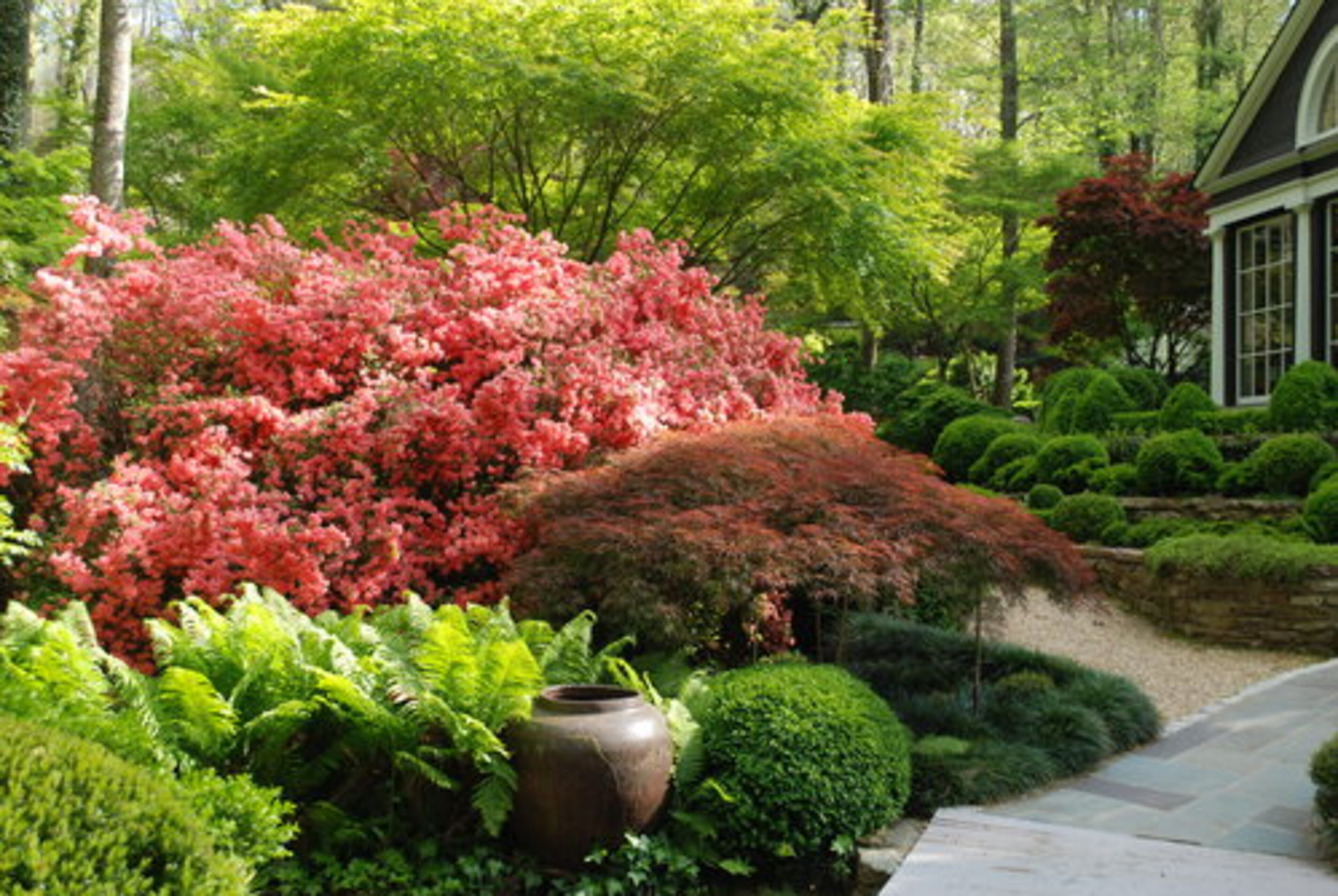 Two small creeks and steep terrain shape Bill Hudgins' Buckhead property, a perennial garden tour favorite.