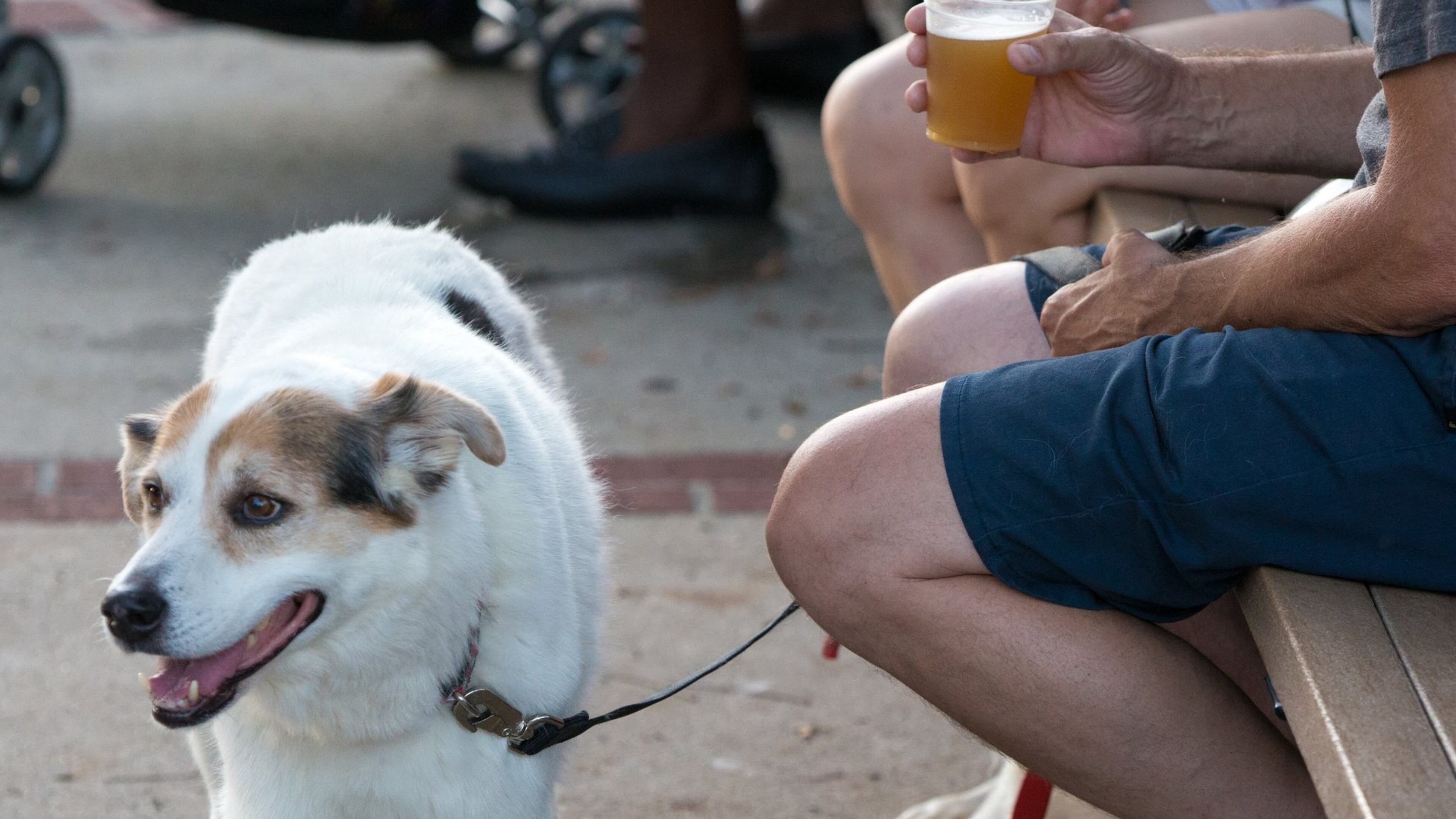 Duluth, Kennesaw and Woodstock are just some of the suburban communities that have embraced entertainment districts. (Casey Sykes for the Atlanta Journal-Constitution)