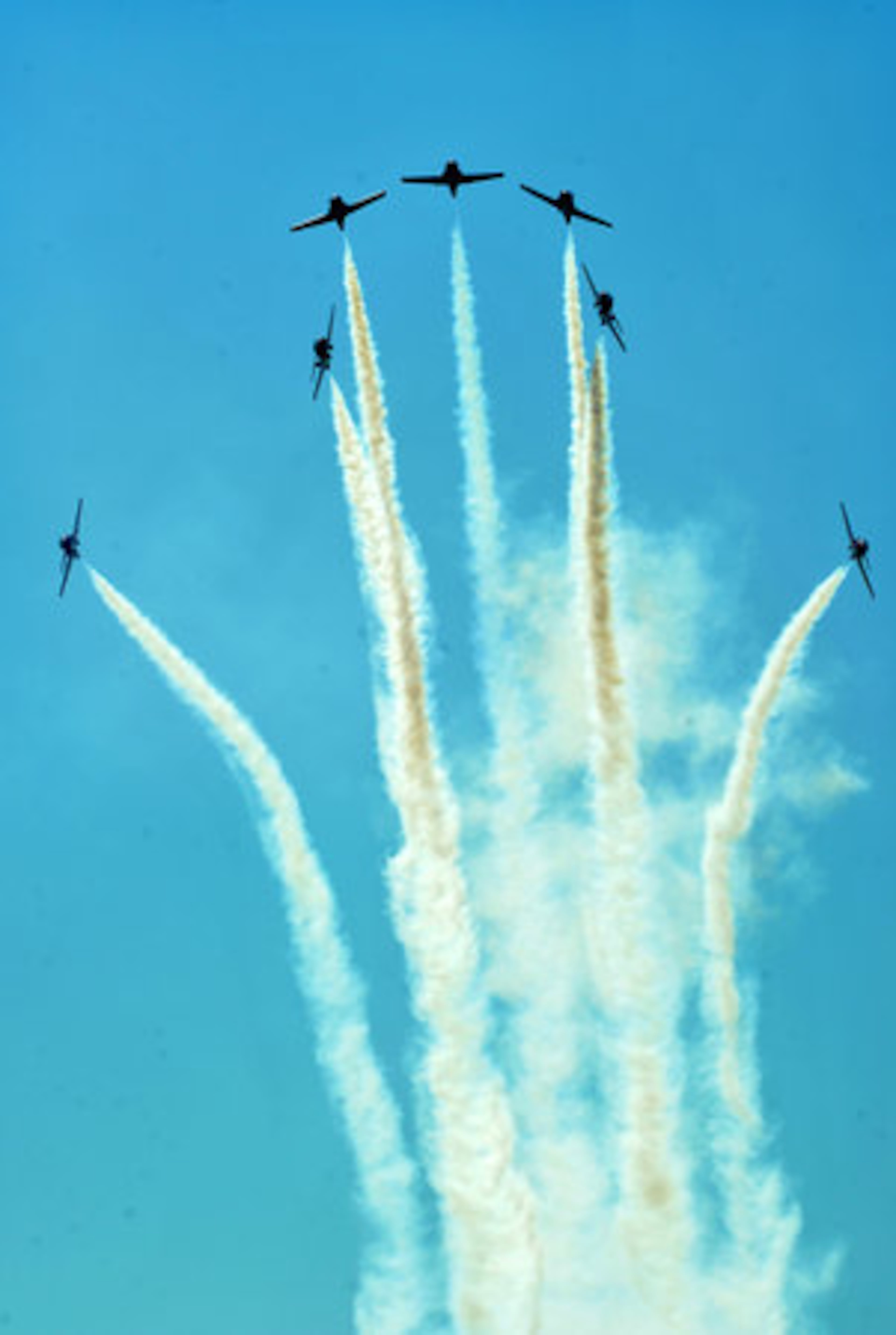The Canadian Snowbirds perform during the Wings over Atlanta Air Show at Dobbins Air Reserve Base on Saturday, Oct. 16, 2010. The Snowbirds fly the Canadair CT-114 Tutor, a Canadian-built jet that was used by the Canadian Forces as a basic pilot-training aircraft form 1963 until 2000.