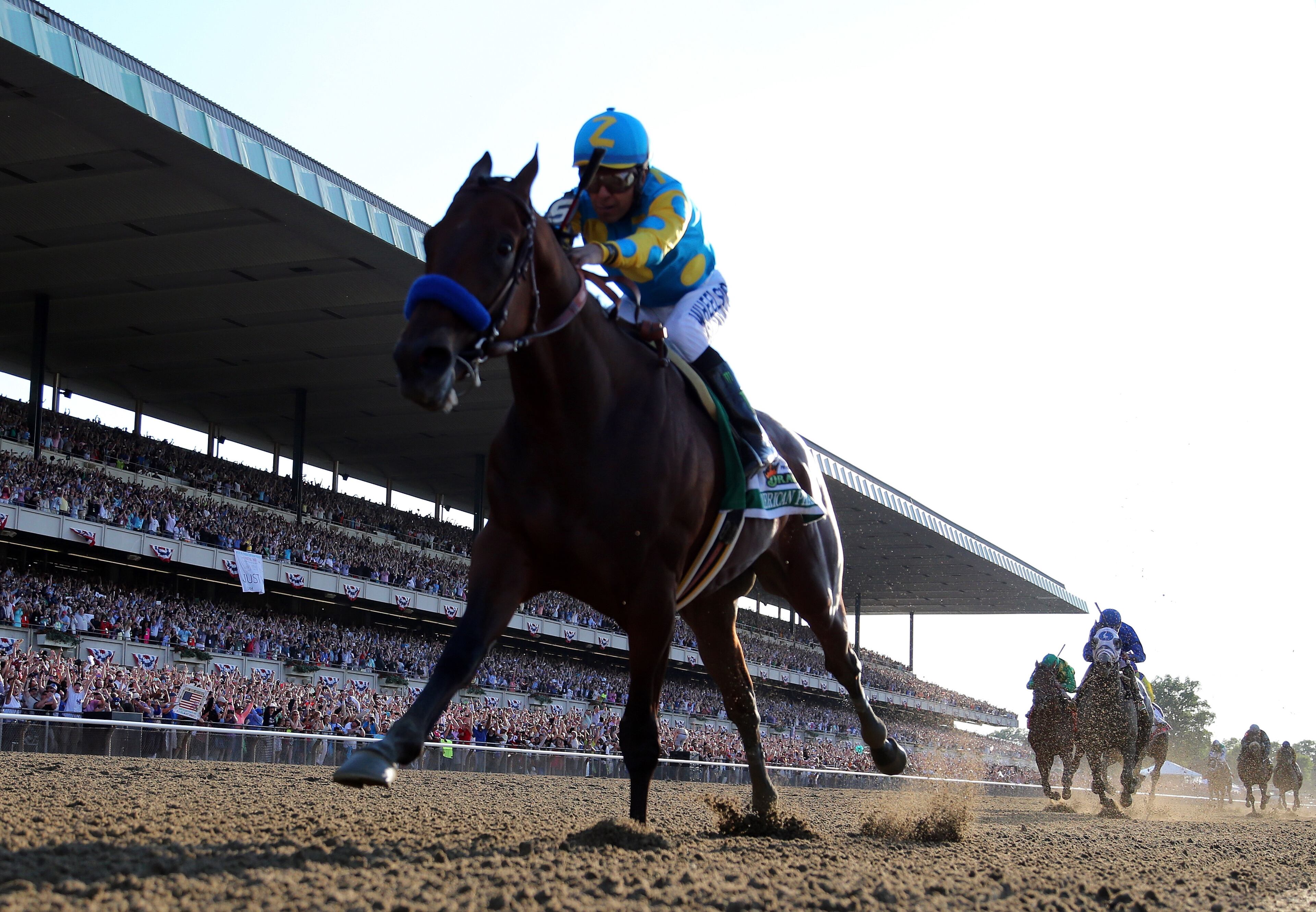 ELMONT, NY - JUNE 06: American Pharoah #5, ridden by Victor Espinoza, comes down the final stretch ahead of the field on his way to winning the 147th running of the Belmont Stakes at Belmont Park on June 6, 2015 in Elmont, New York. (Photo by Rob Carr/Getty Images)