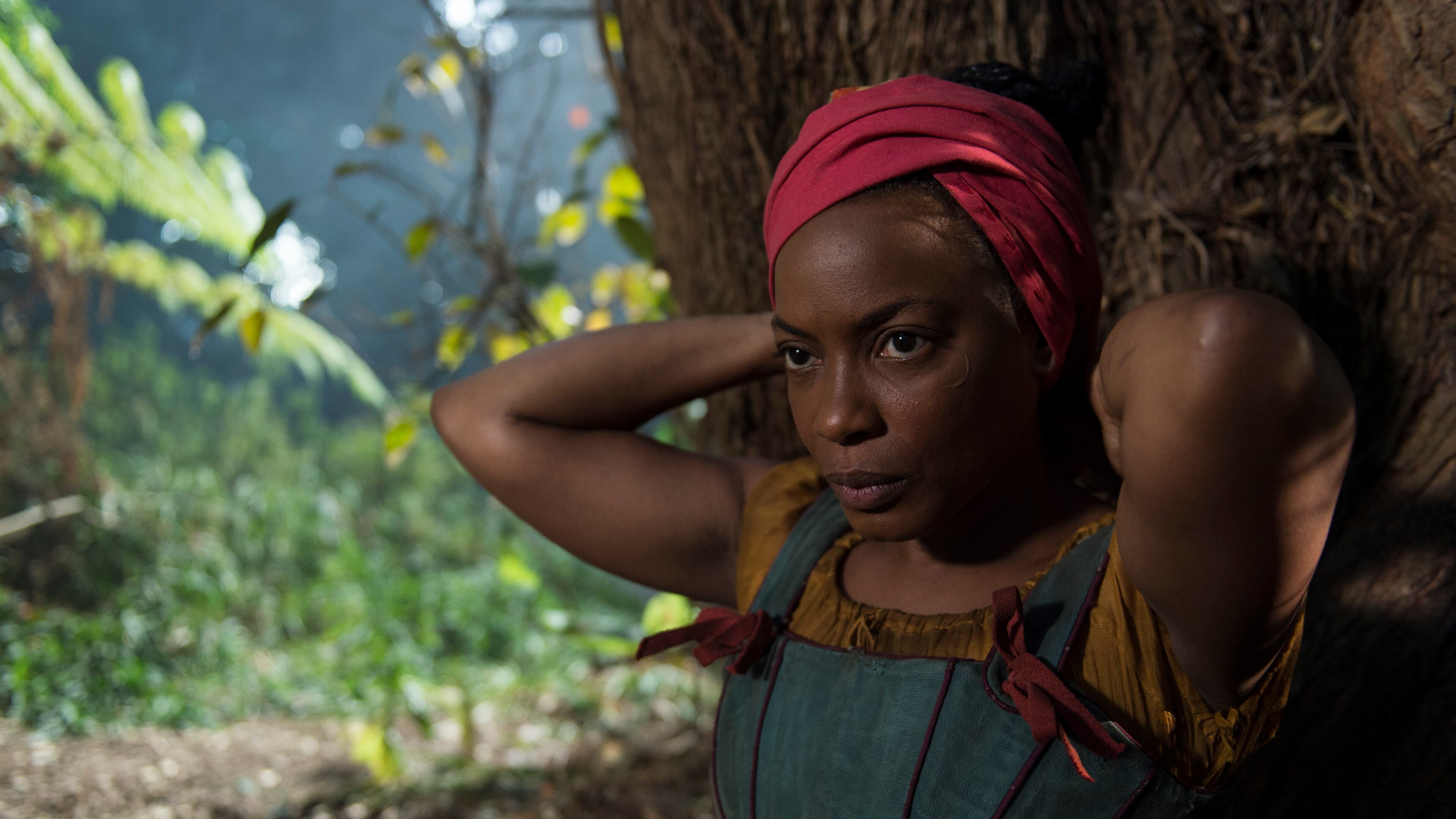 Scene 2.7 - EXT Appleby's Plantation - Woods; Georgia (Sandra Caldwell) teaches Aminata (Aunjanue Ellis) to read. Aunjanue Ellis plays Aminata Dialla in "The Book of Negroes" on BET. CREDIT: BET