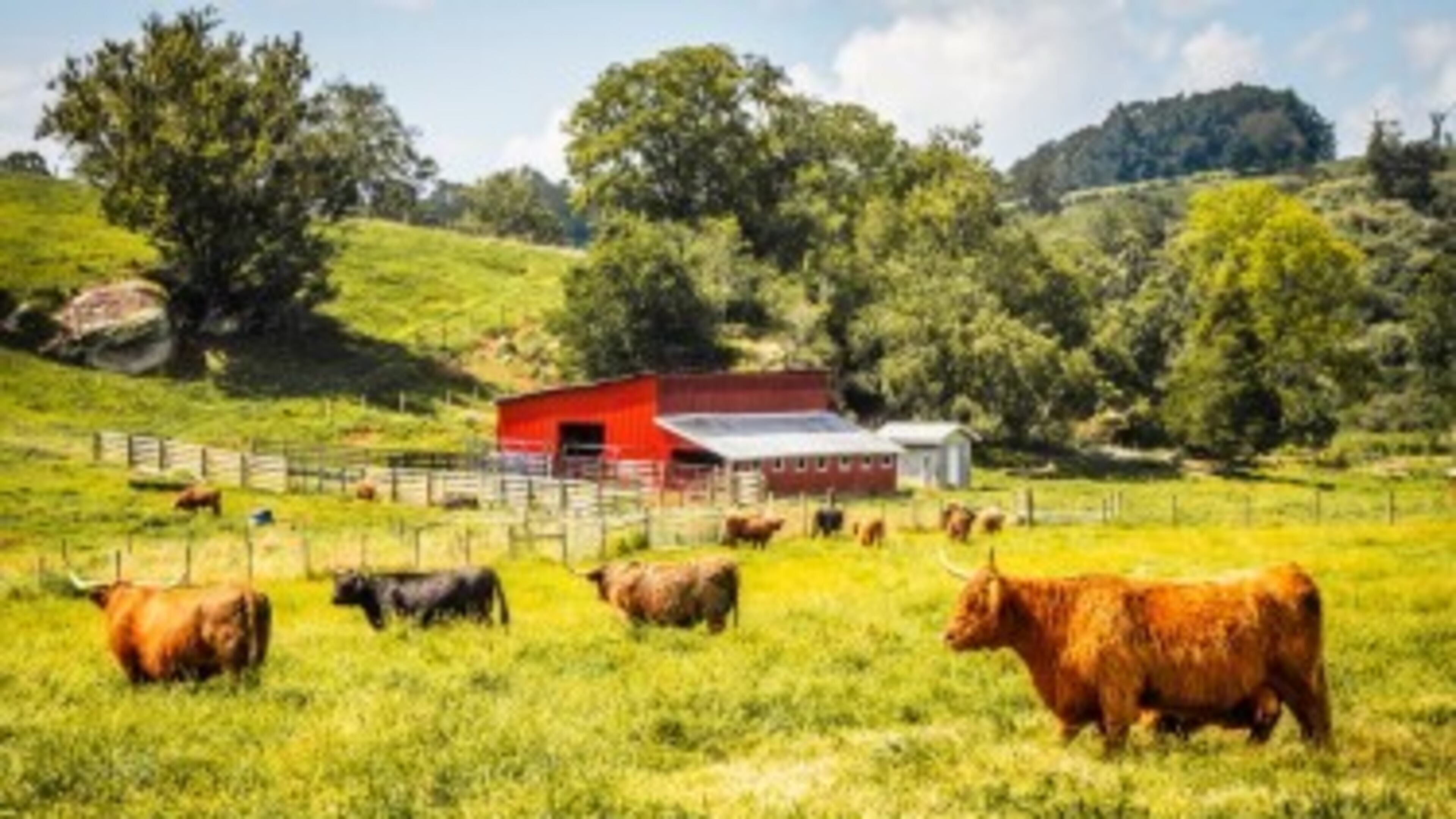 Explore Grayson County Giveaway