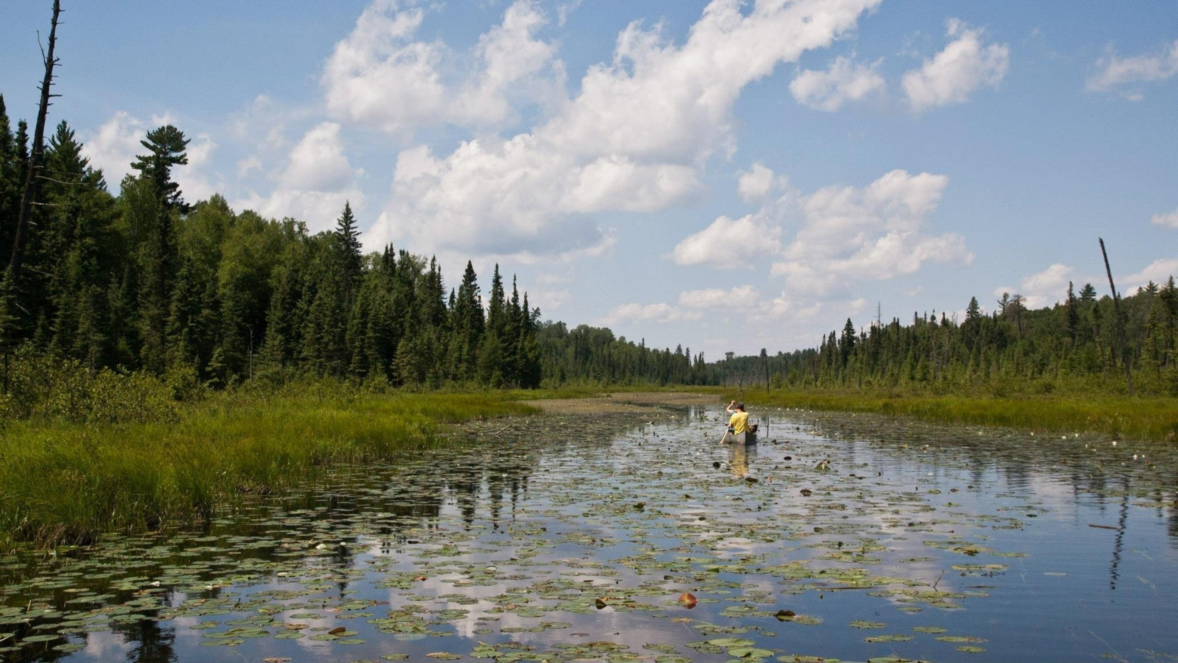 FILE- In this undated photo provided by Minnesota Public Radio on Sept. 2, 2016, canoeists navigate the Pocket River in the Boundary Waters Canoe Area Wilderness near Ely, Minn. (Nathaniel Minor/Minnesota Public Radio via AP, File)/Minnesota Public Radio via AP)