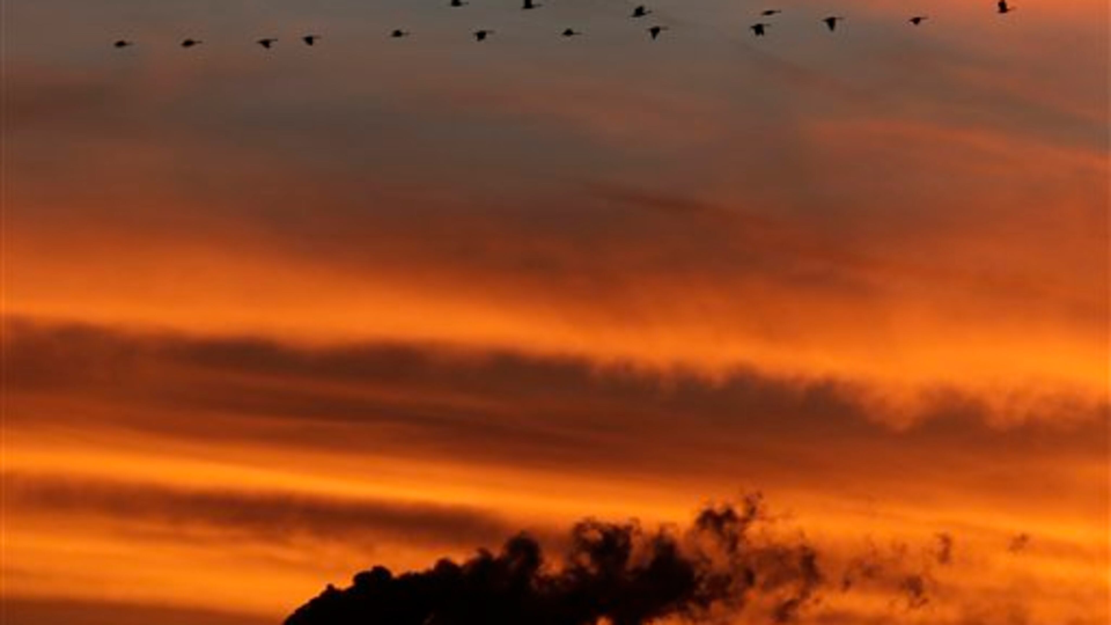 A flock of geese fly past the smokestacks at the Jeffrey Energy Center coal power plant as the suns sets Sunday, Dec. 2, 2012, near Emmett, Kan. (AP Photo/Charlie Riedel)