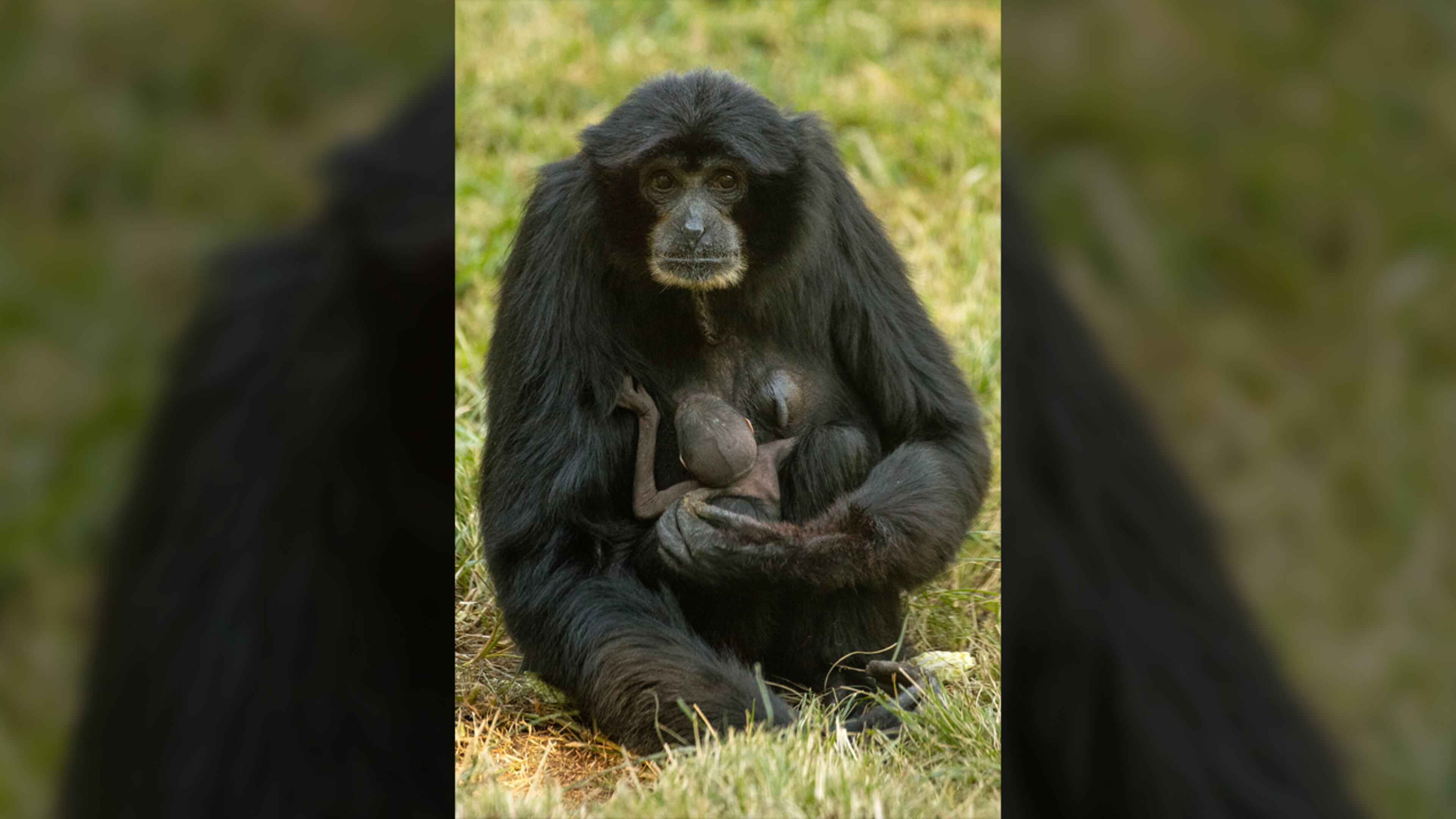 Eloise was on birth control, but gave birth to her seventh baby.