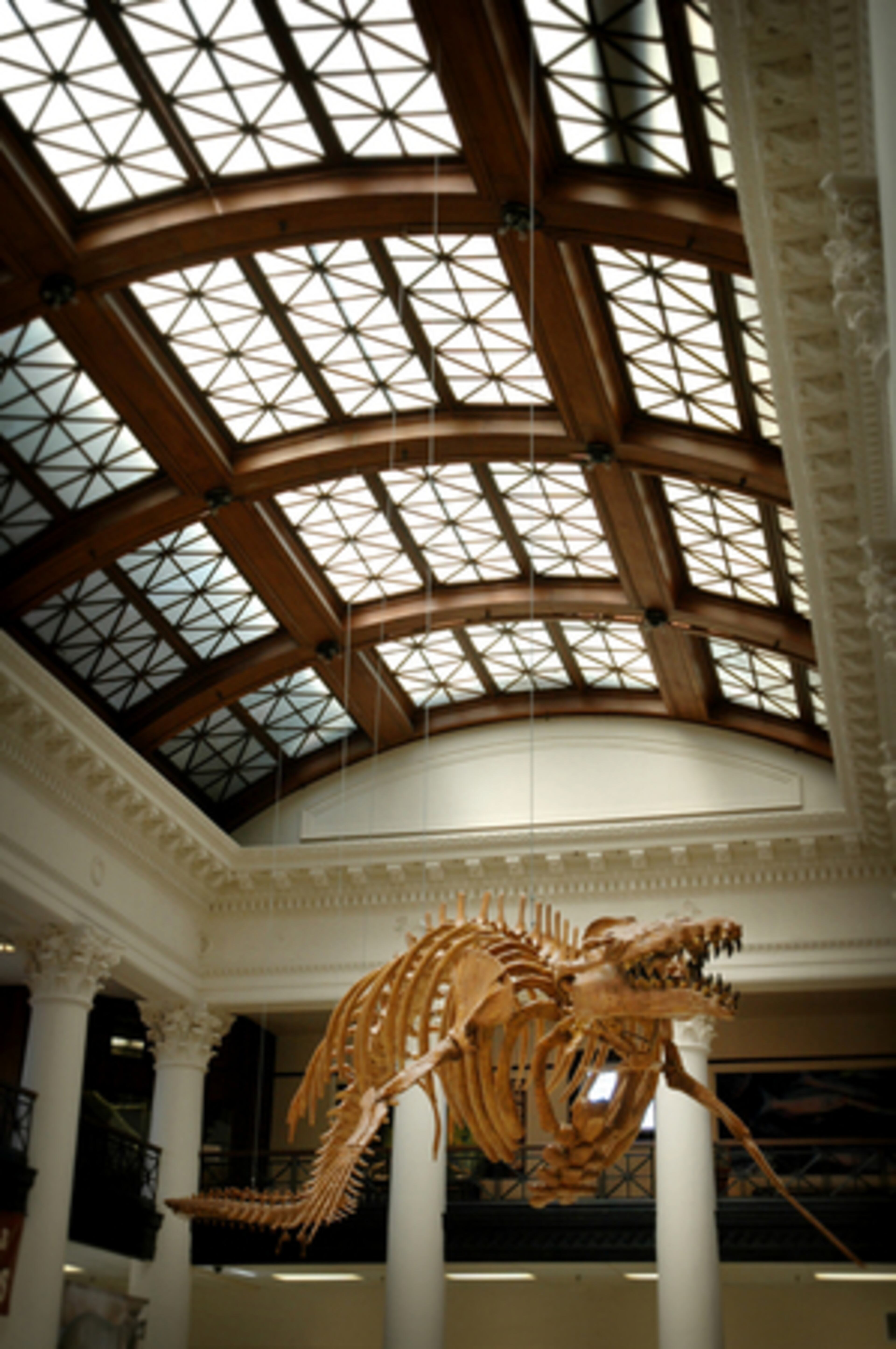 The Alabama Natural History Museum, filled with fossils and fish in jars, 'is a little boy's dream,' according to a sign in front of the building.