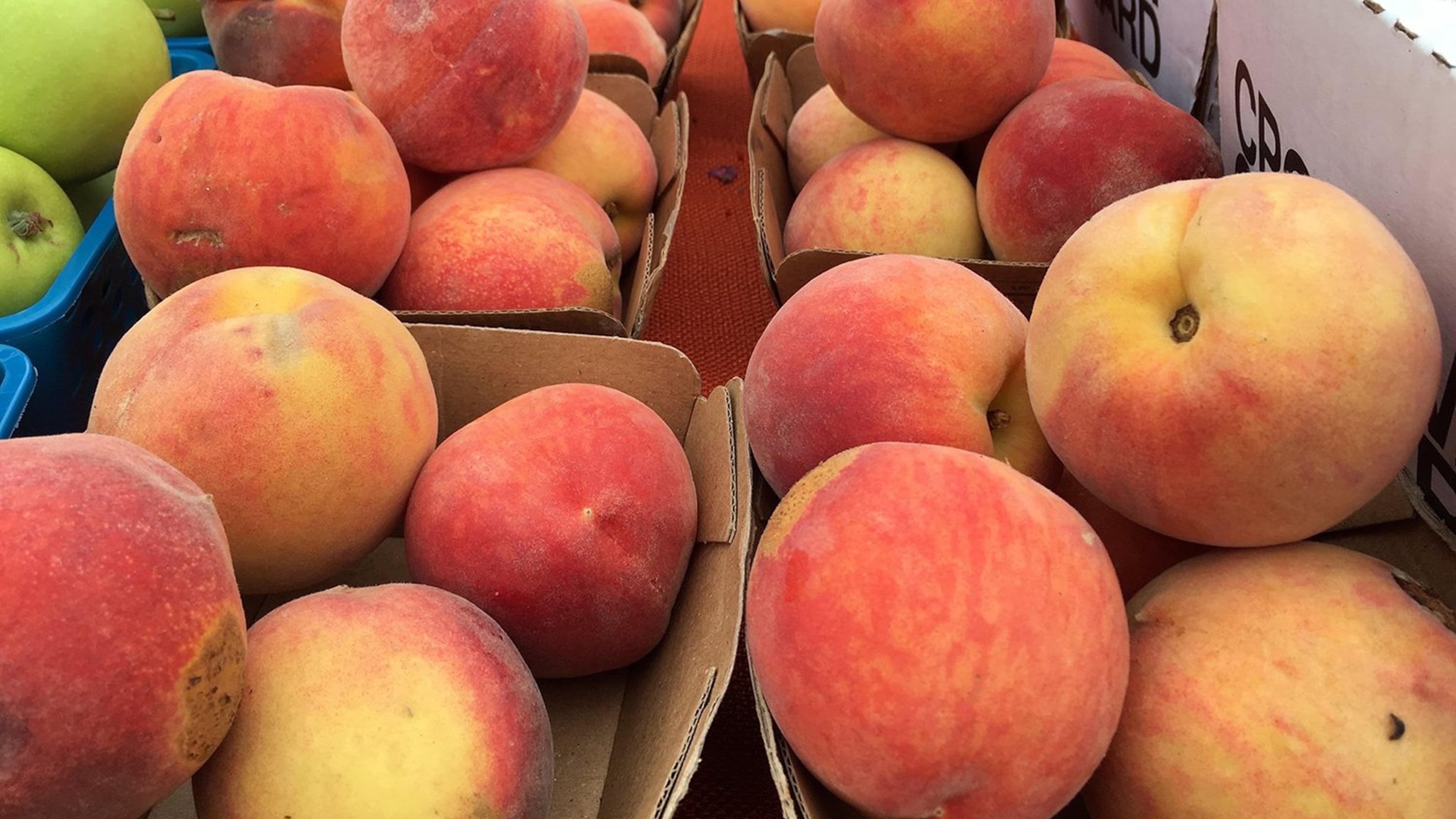 Georgia peaches need cold spells to thrive. They have suffered from several warm winters. (AJC archive photo)