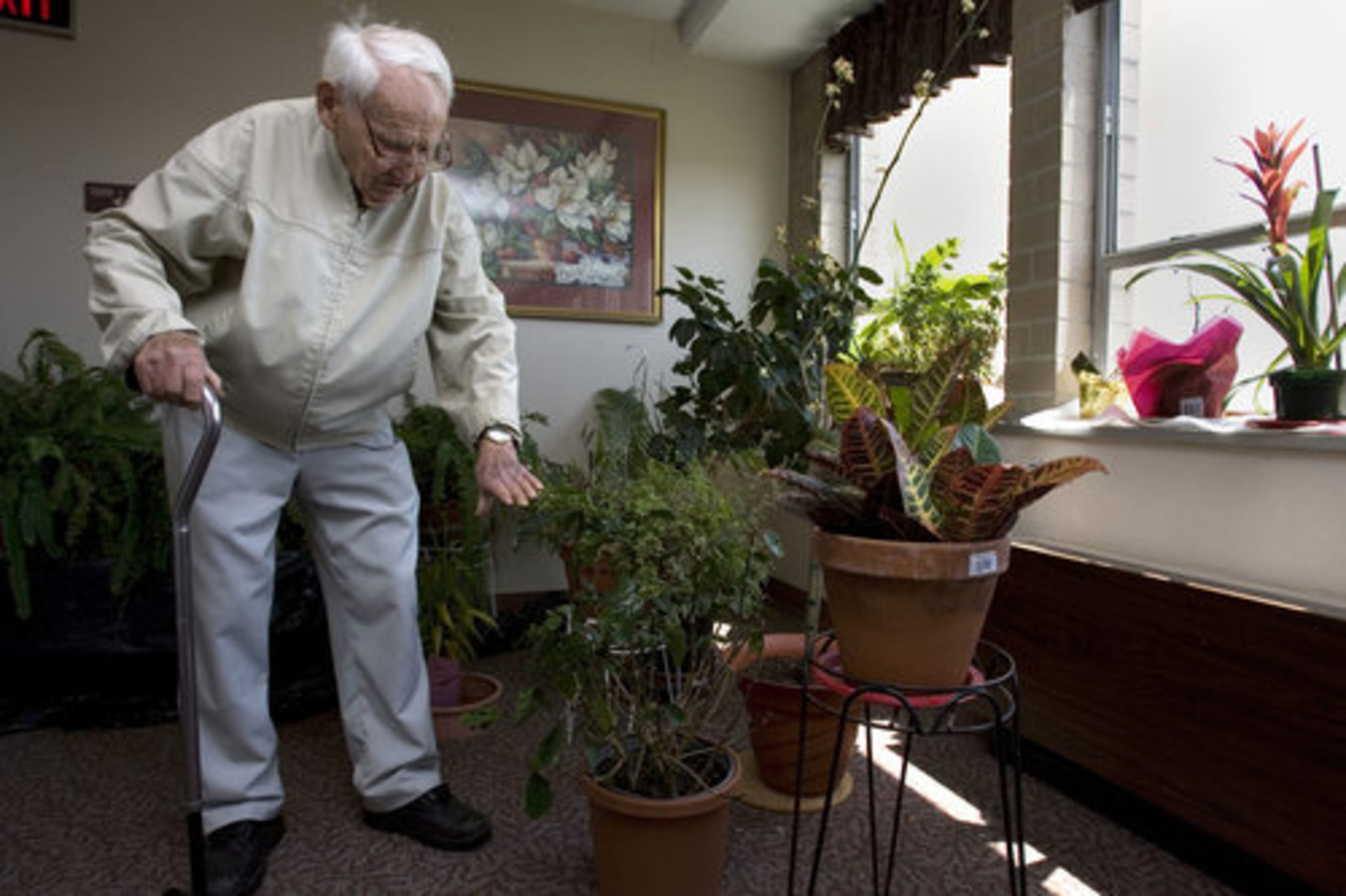 William Canterbury checks his patients soaking up bright light from windows near the elevator. Canterbury rescues neighbors' plants and nurses them back to health.