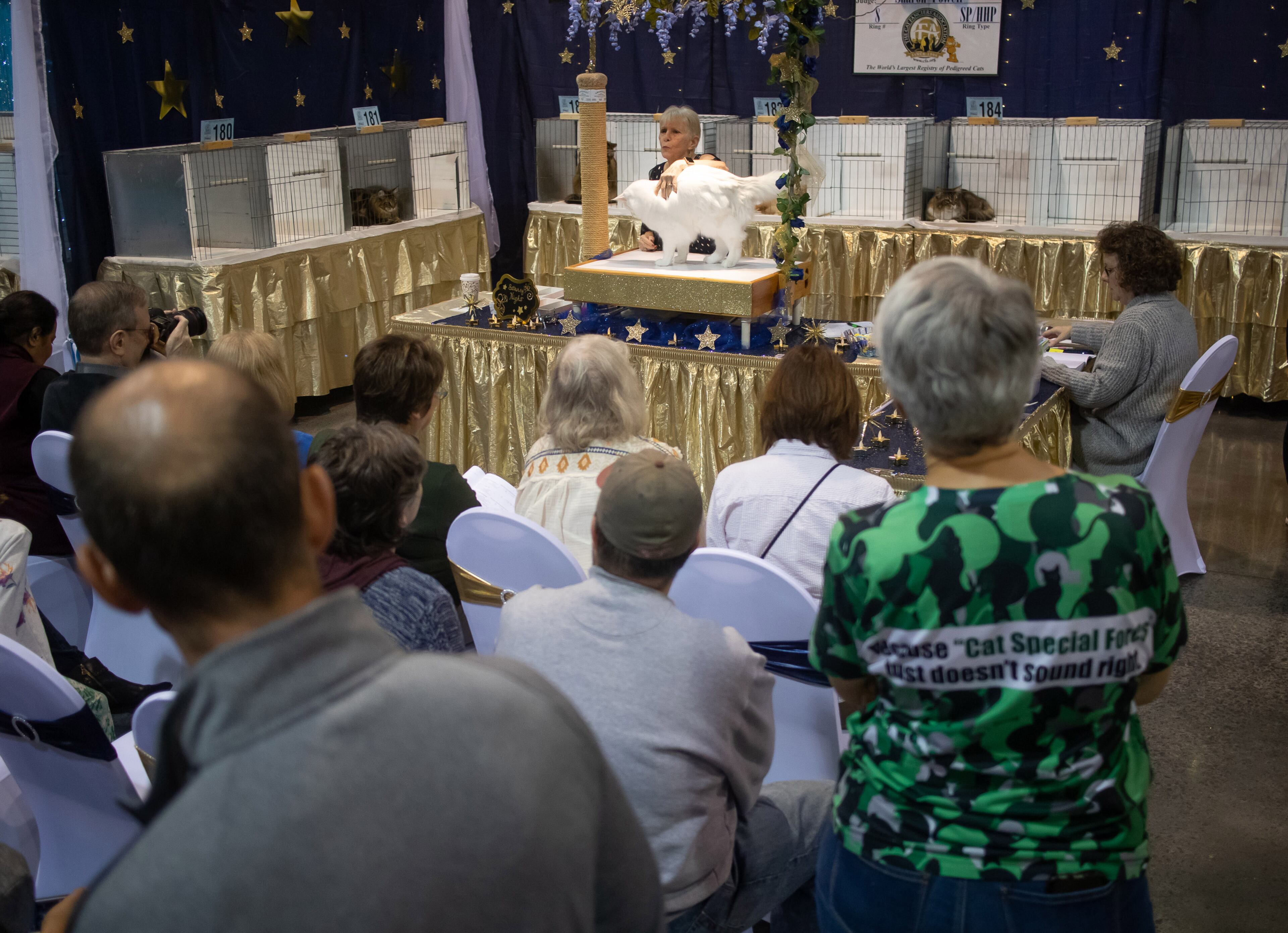 Judge Sharon Powell looks over a cat during the 81st annual Cotton States Cat Show at the Infinite Energy Center in Duluth on Sunday, November 3, 2019. STEVE SCHAEFER / SPECIAL TO THE AJC