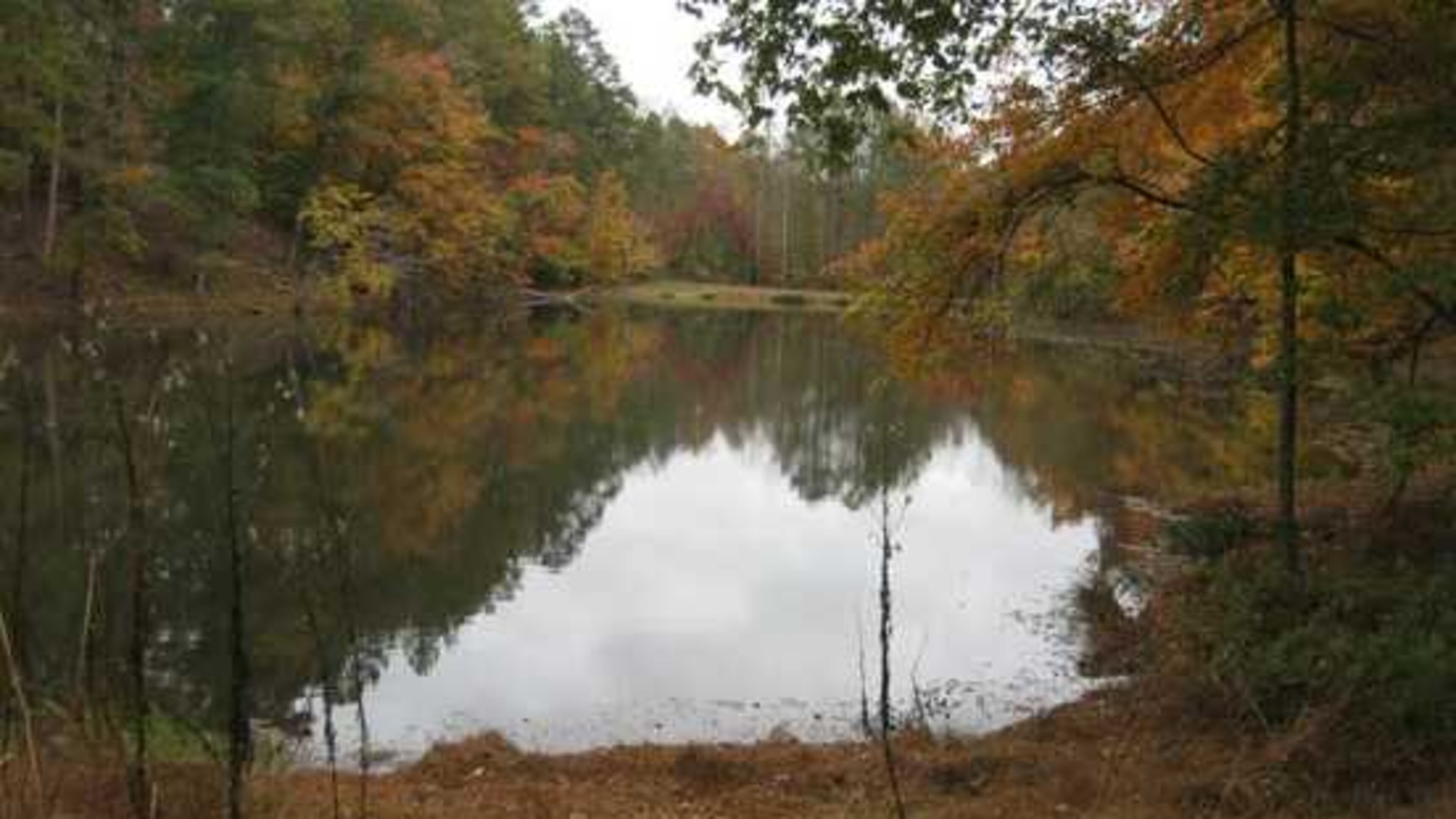 The property is made up of four parcels of varying size along Lackey and Sweetapple roads in the southwest portion of the city