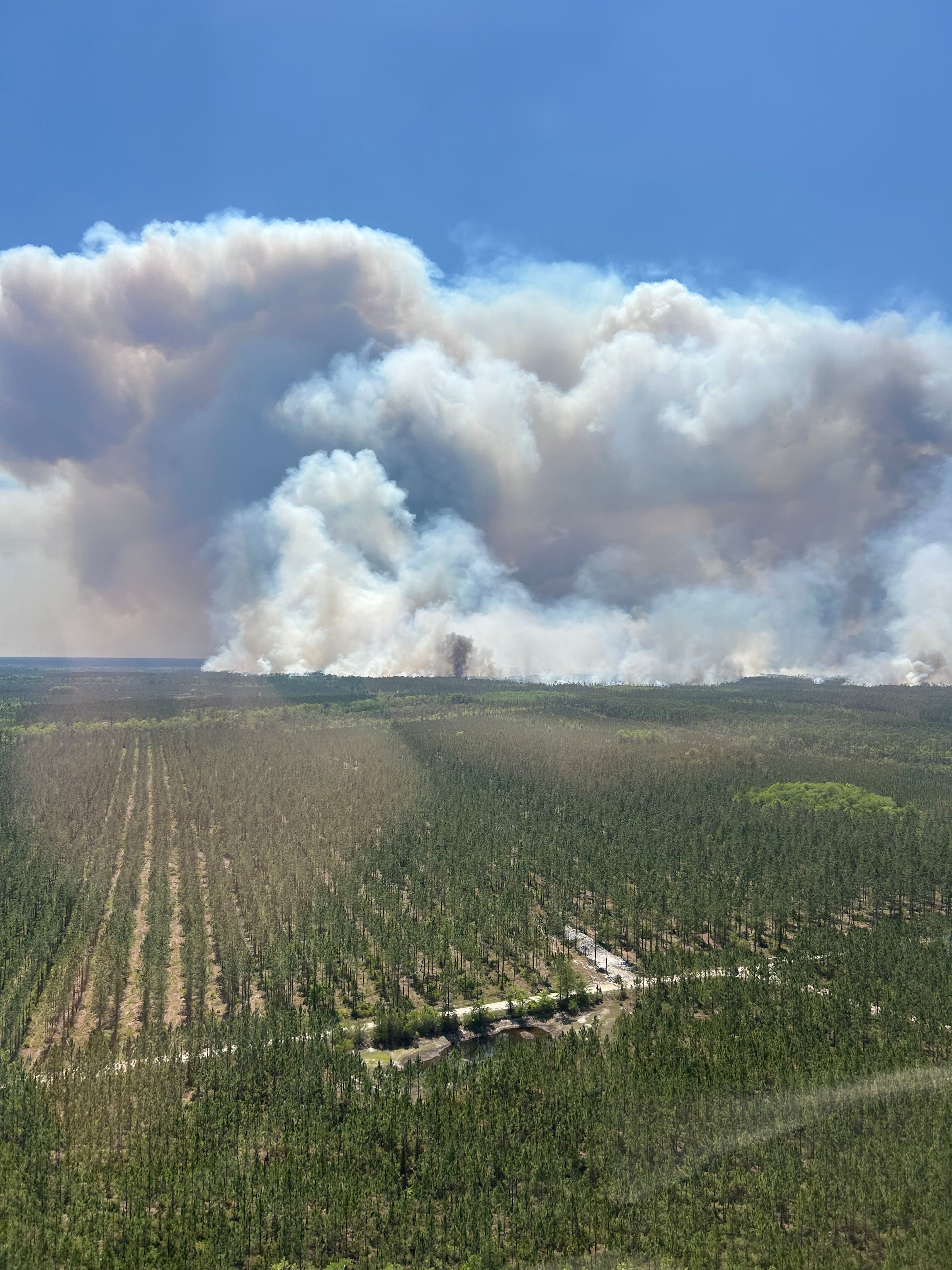 Smoke from the Pineland Road fire in southeast Georgia fills the sky on Wednesday, April 22, 2026. (Georgia Department of Natural Resources via AP)