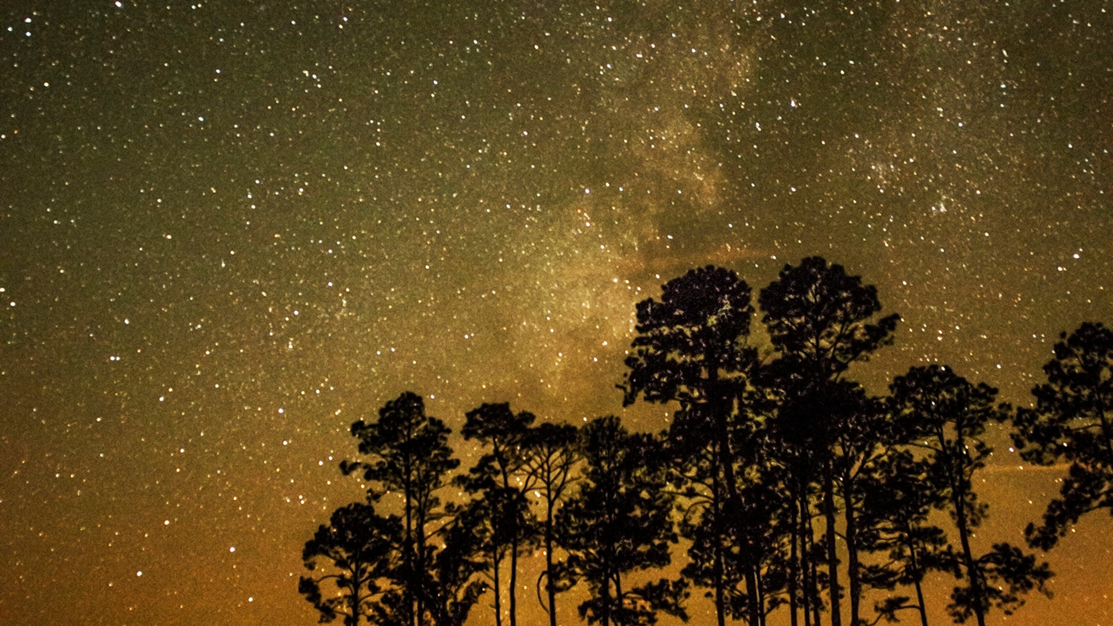 CONTRIBUTED BY GEORGIA STATE PARKS