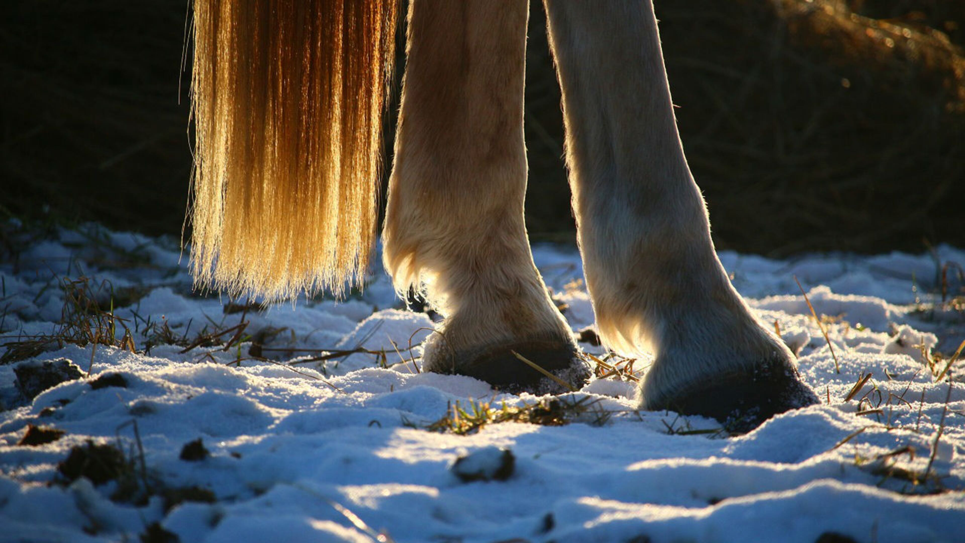 File photo. (Photo: rihaij/Pixabay)