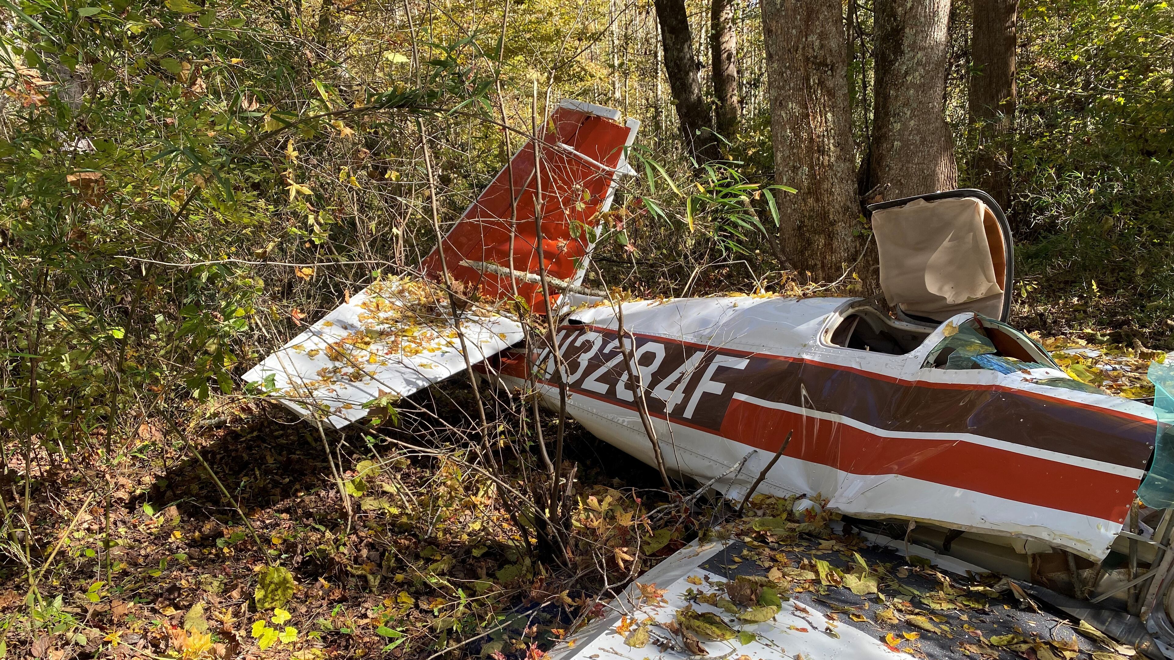 Raymond K. Hicks of Villa Rica died Monday when his single-engine plane crashed in Paulding County.