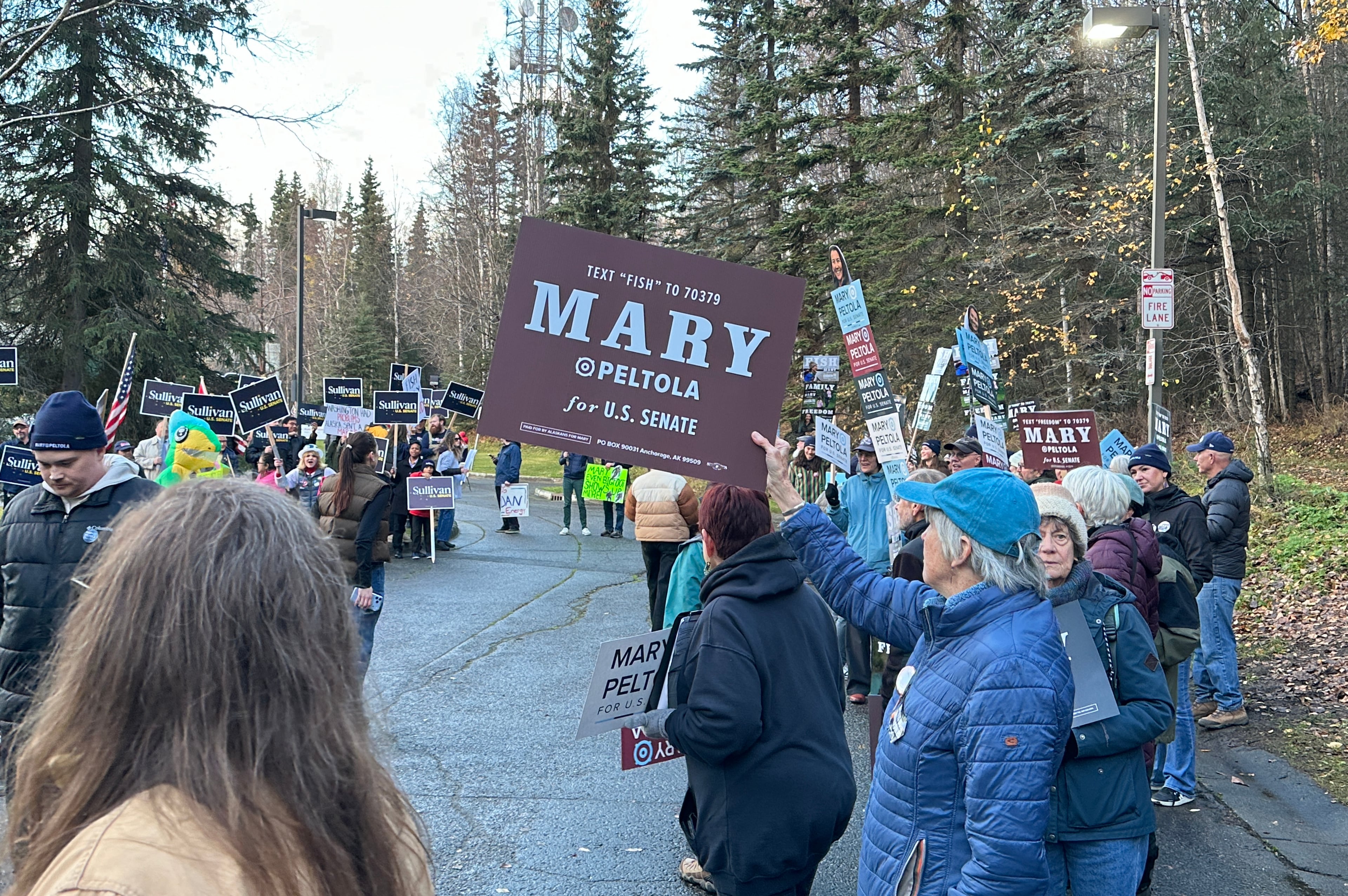 Election 2026 Alaska Senate