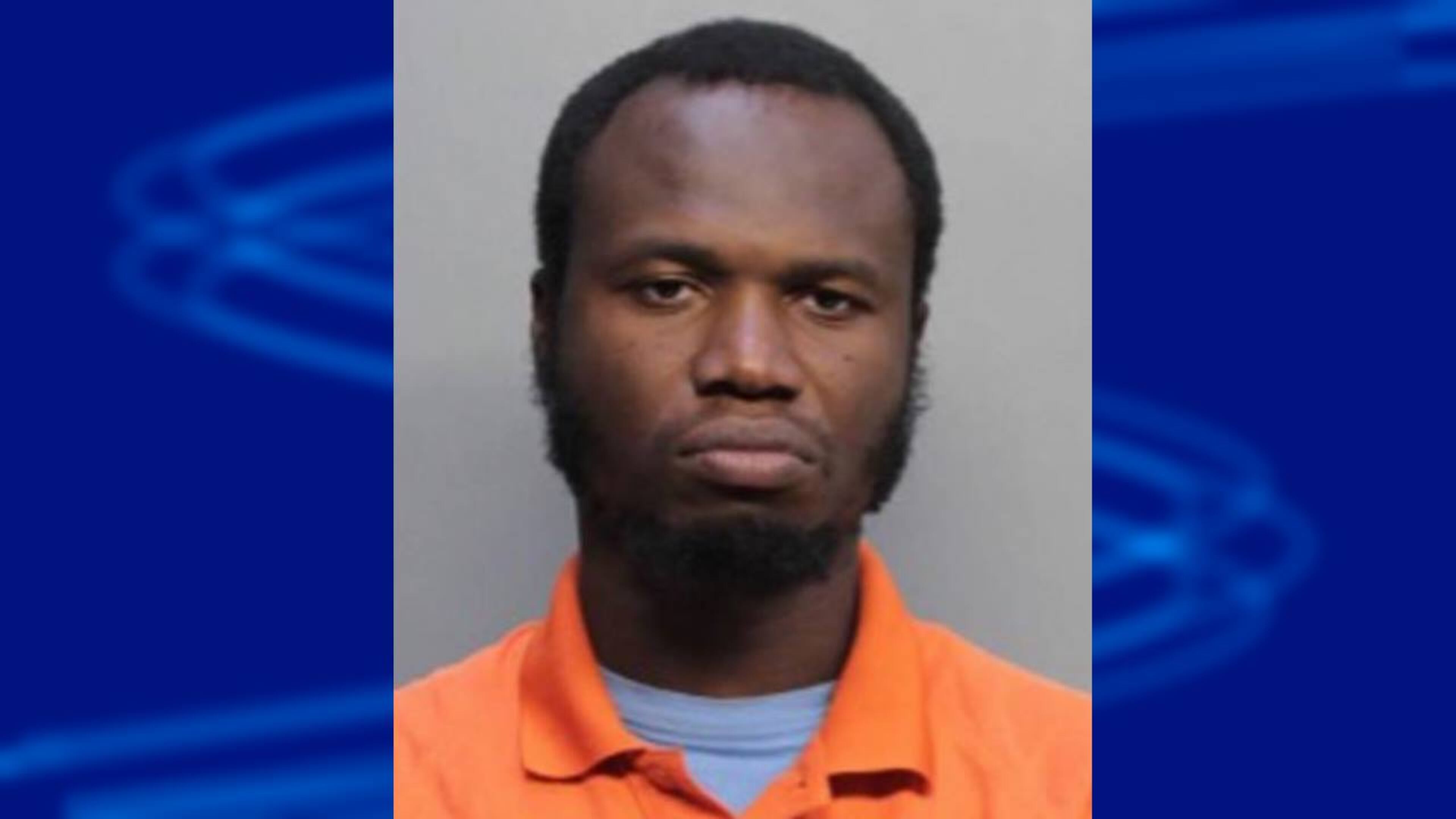 Police said Marcelin Holdson was caught on surveillance video vandalizing a city hall lobby and adjoining offices.