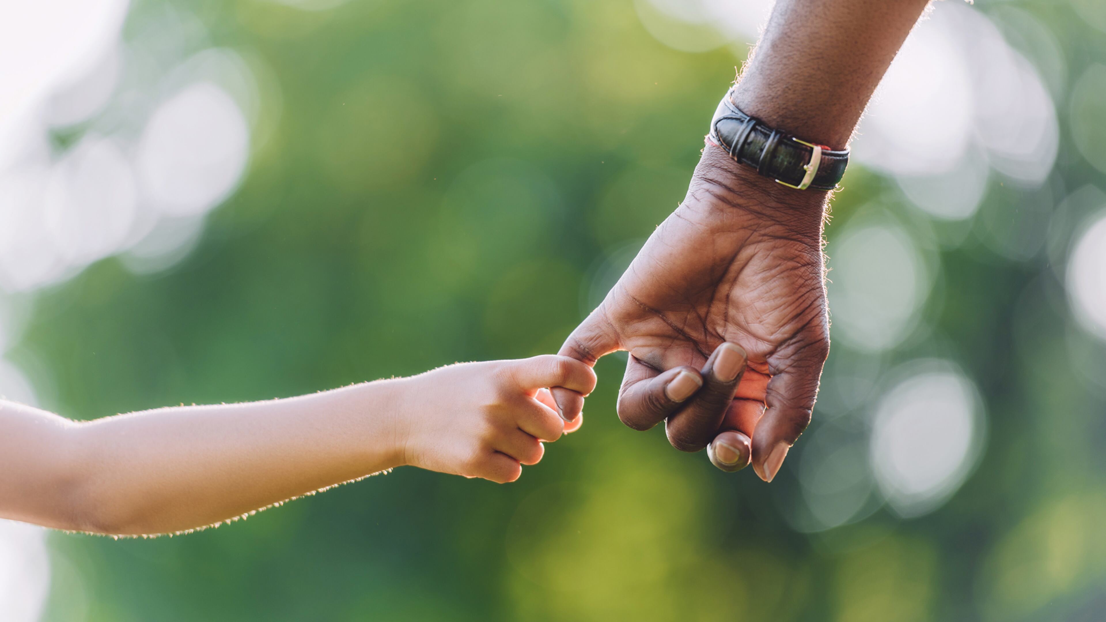 As families evolve, grandparents sometimes step in as primary caregivers, taking on new challenges to support their loved ones. (Dreamstime/TNS)