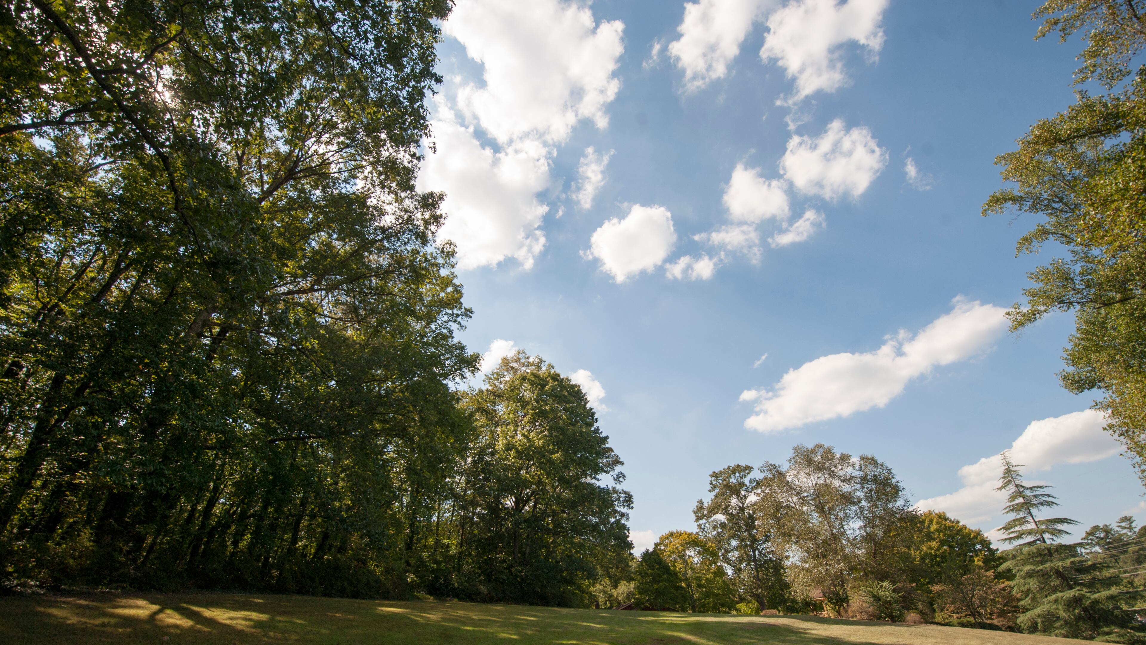 File Photo: Wylene Tritt’s property spans a quarter mile deep into the woods in Marietta, Georgia. Tritt is trying to sell her land to Cobb County as a historic park. (DAVID BARNES / DAVID.BARNES@AJC.COM)