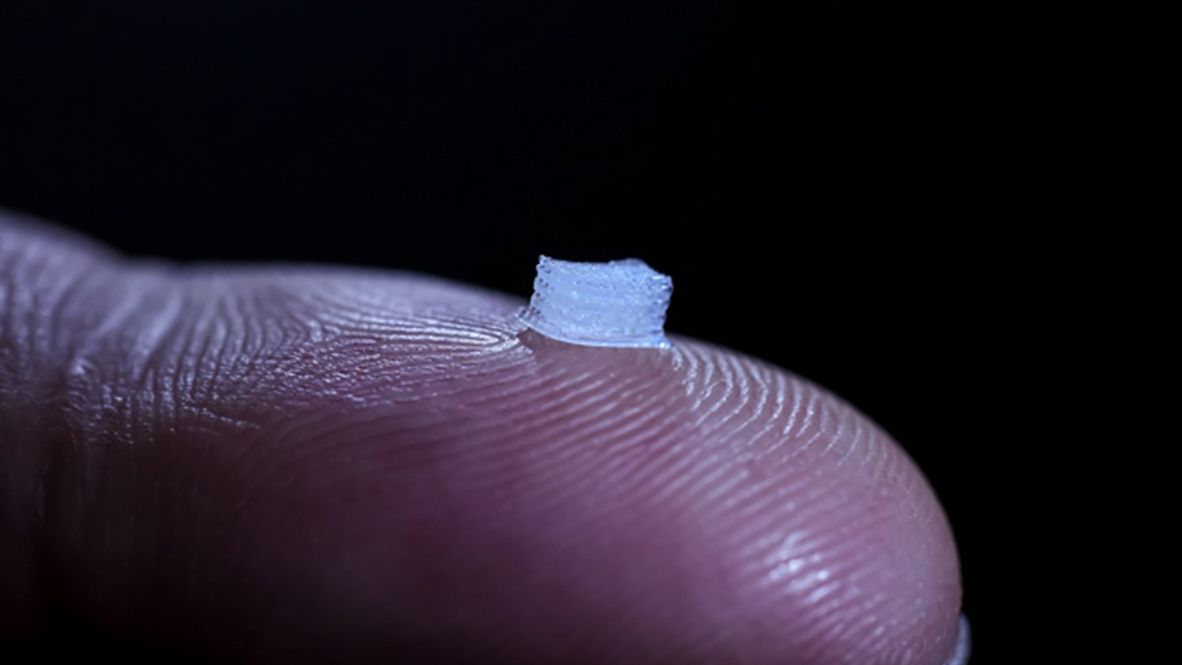 University of Minnesota researchers developed a prototype of a 3D-printed device with living cells that could help spinal cord patients restore some function. The size of the device could be custom-printed to fit each patient’s spinal cord. The patient’s own cells would be printed on the guide to avoid rejection in the body. (University of Minnesota/TNS)