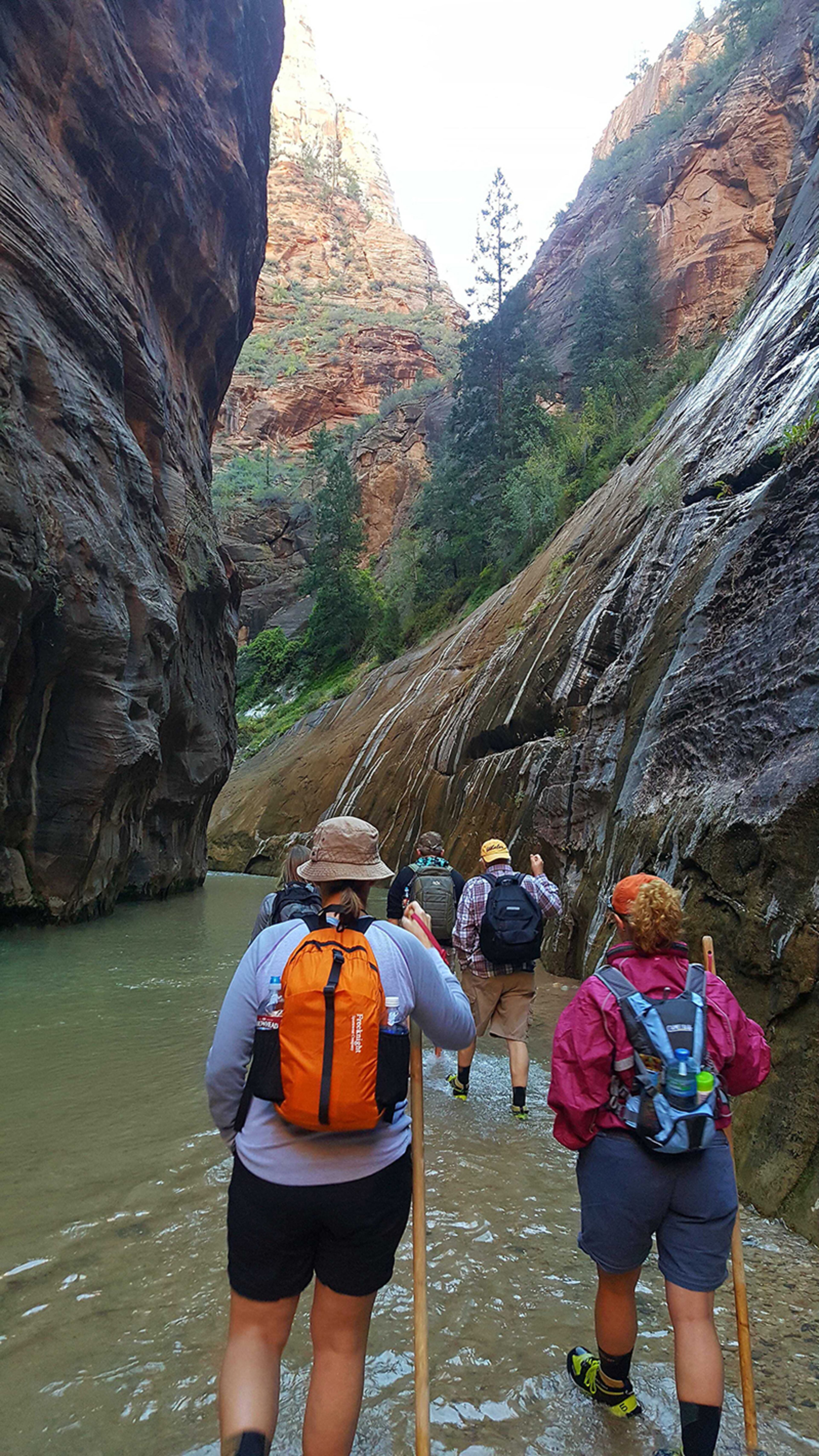 Singles Travel International offers trips within the States as well as overseas. This trip included the Grand Canyon, Bryce Canyon, Antelope Canyon and several other stops, including walking the Virgin River at the Narrows in Zion National Park (seen here).
Nancy Clanton/nancy.clanton@ajc.com